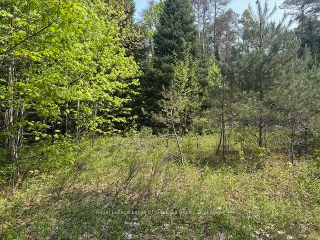 Photo 10 of 147 So Ho Mish Road, Perry — HOMEH