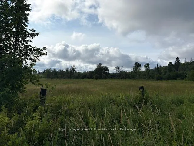 Photo of 0 Old Muskoka to the West Side of #1105 Road