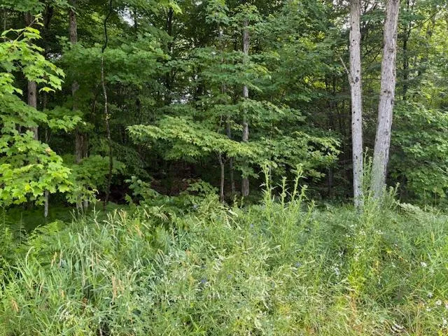 Photo of 60 Summer Leigh Trail