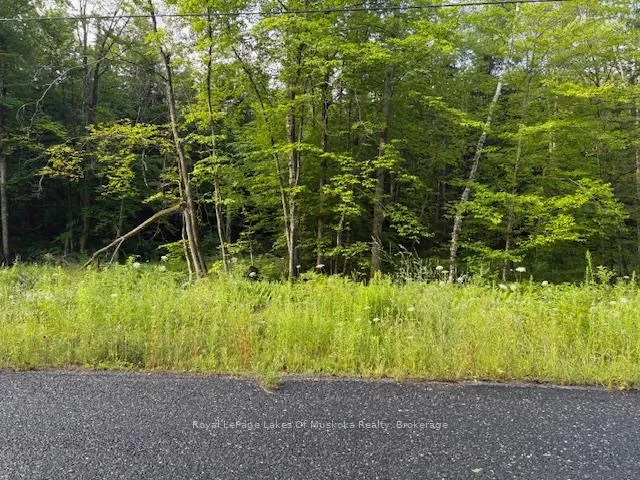 Photo of 47 Summer Leigh Trail