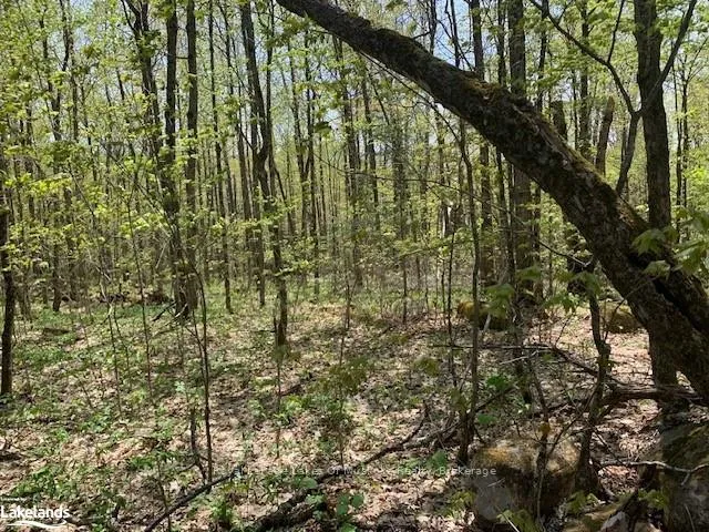 Photo of 2376 South Horn Lake Road