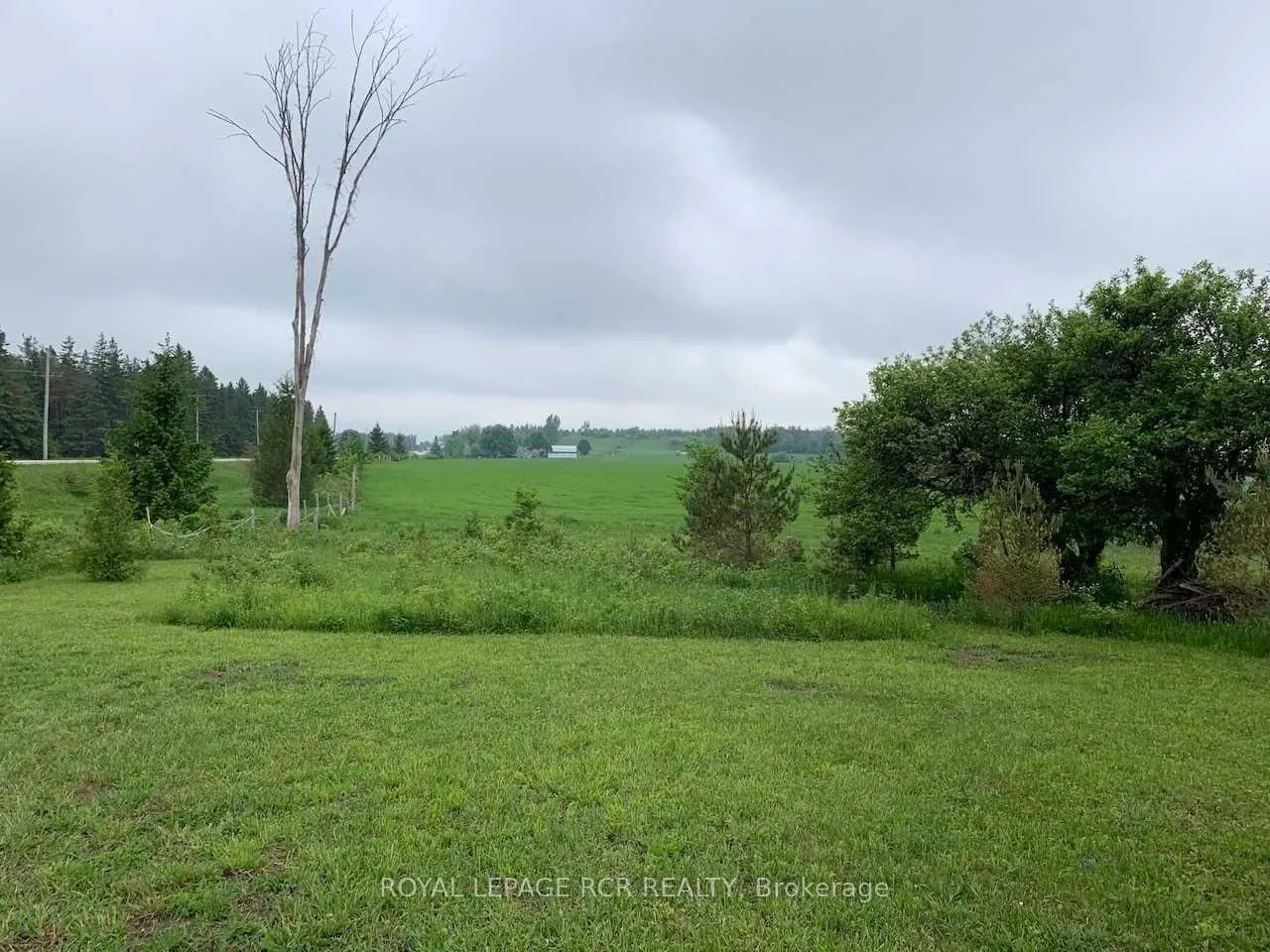 Photo 3 of 405251 Grey Rd 4, Grey Highlands — HOMEH