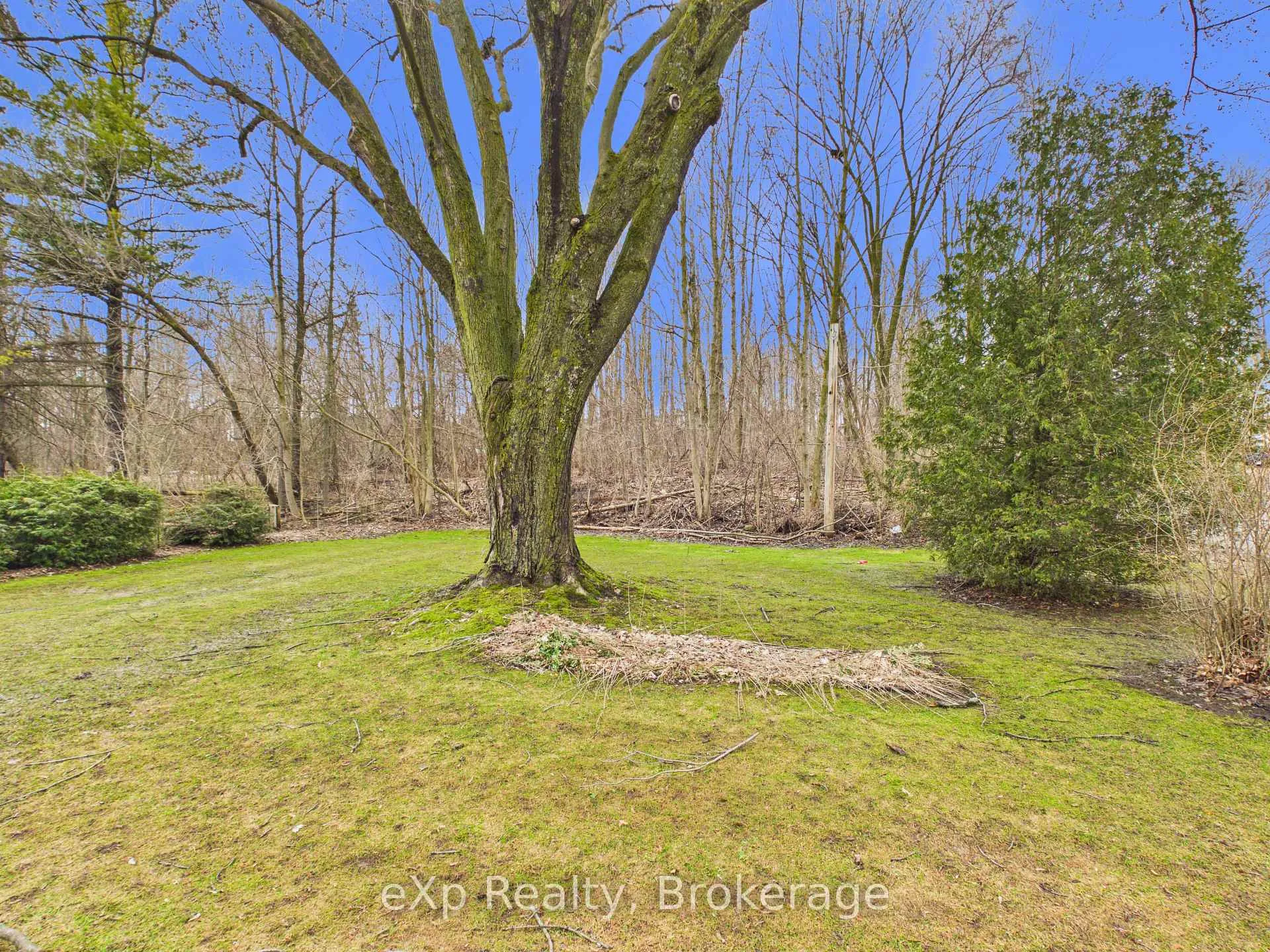 Photo 9 of 203 May Street, Brockton — HOMEH