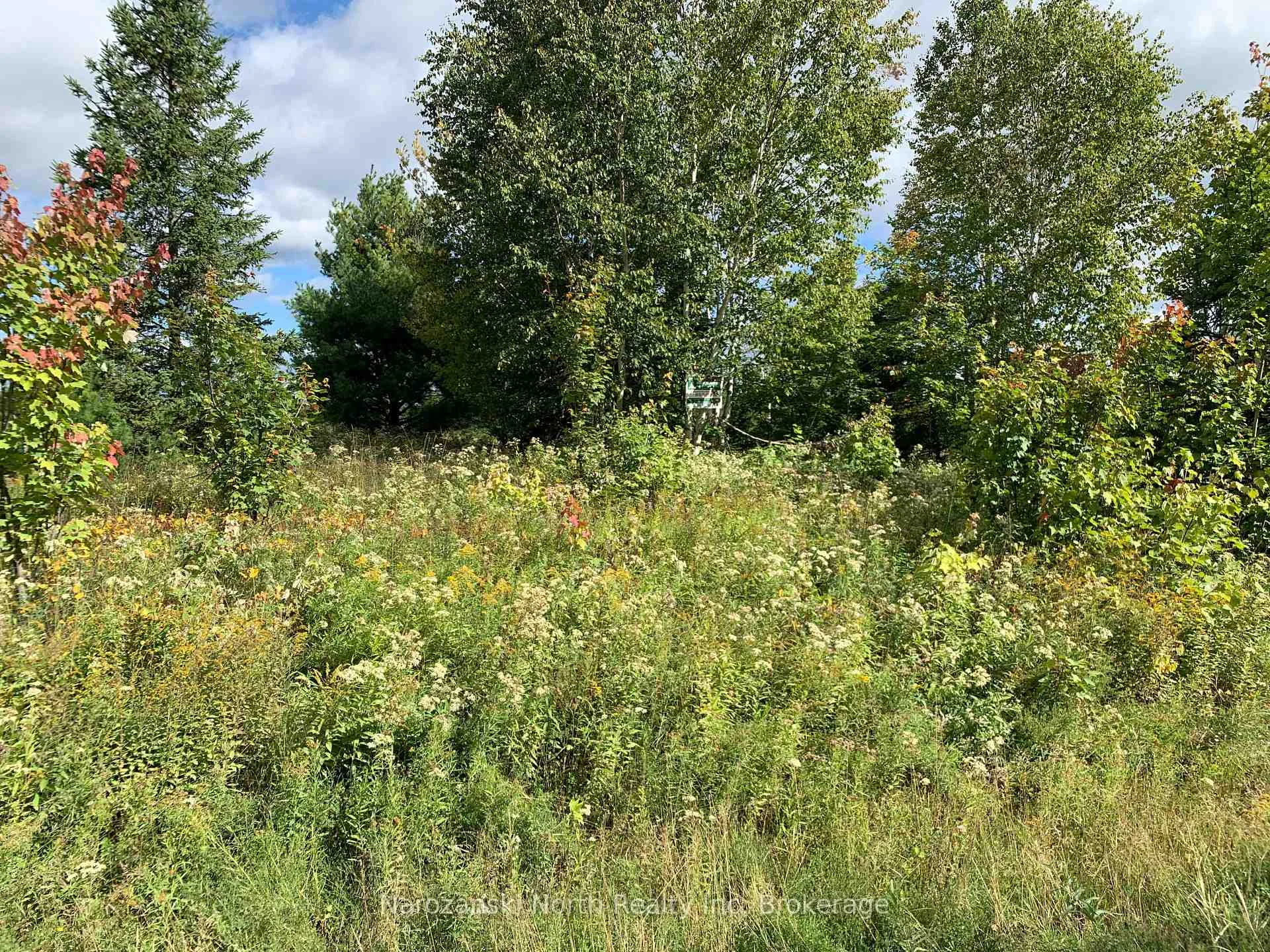 Photo 14 of LOT 4 Prevost Road, French River — HOMEH