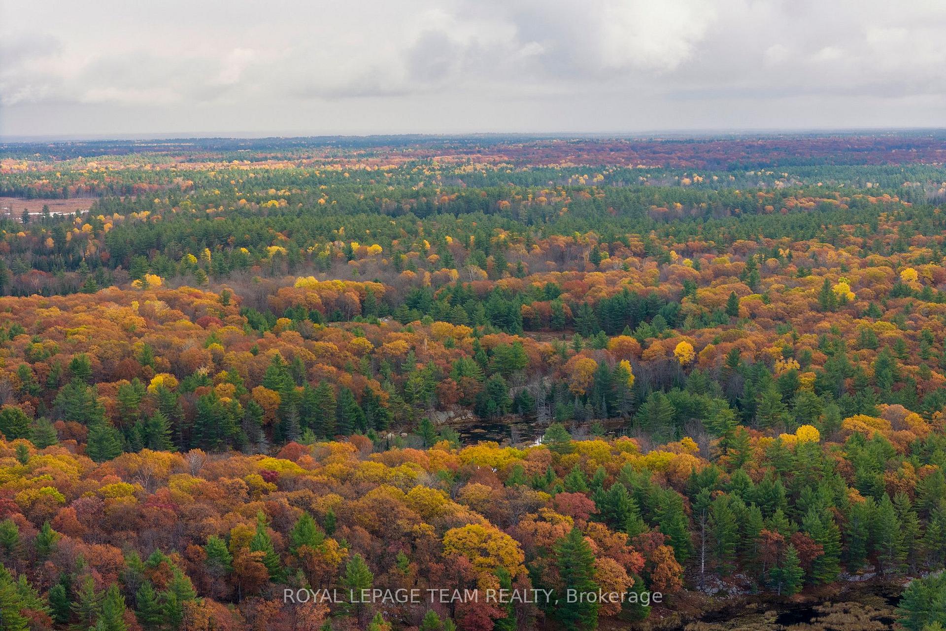 Photo 8 of LOT 14 & E 1/2 13 Concession 11 Darling, Lanark Highlands, Lanark Highlands (Darling) Twp — HOMEH