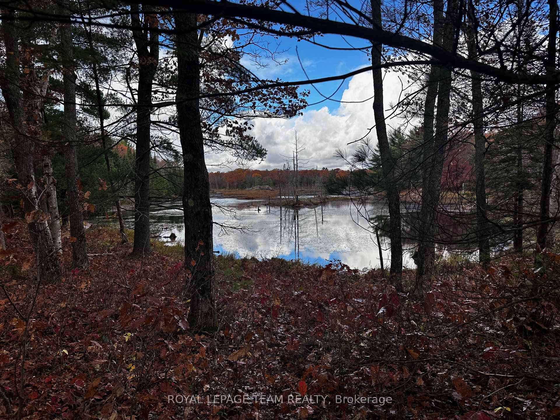 Photo 22 of LOT 14 & E 1/2 13 Concession 11 Darling, Lanark Highlands, Lanark Highlands (Darling) Twp — HOMEH