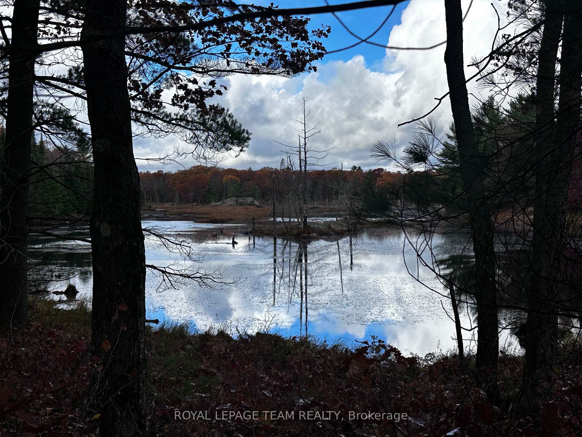 Photo 23 of LOT 14 & E 1/2 13 Concession 11 Darling, Lanark Highlands, Lanark Highlands (Darling) Twp — HOMEH