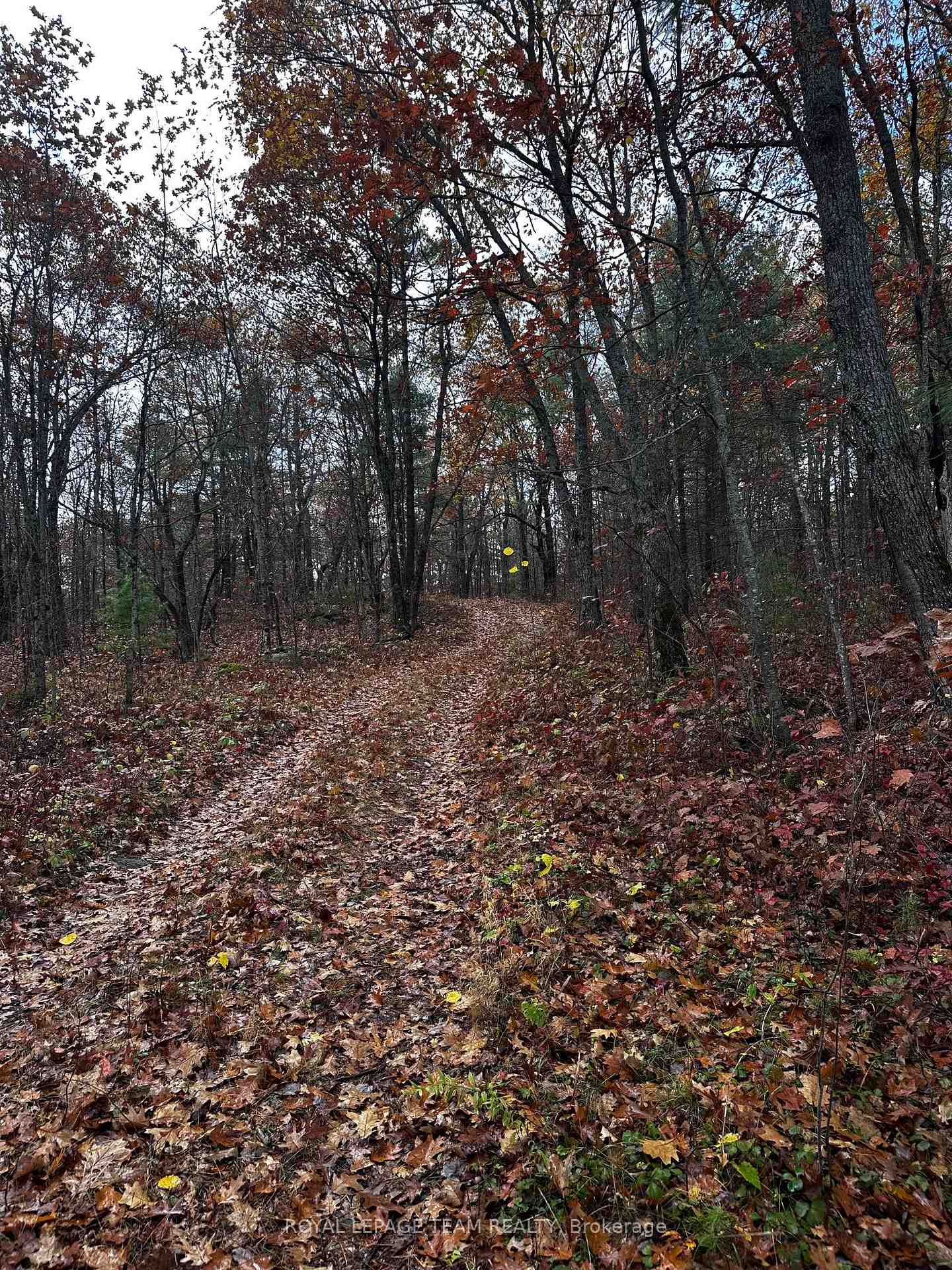 Photo 24 of LOT 14 & E 1/2 13 Concession 11 Darling, Lanark Highlands, Lanark Highlands (Darling) Twp — HOMEH