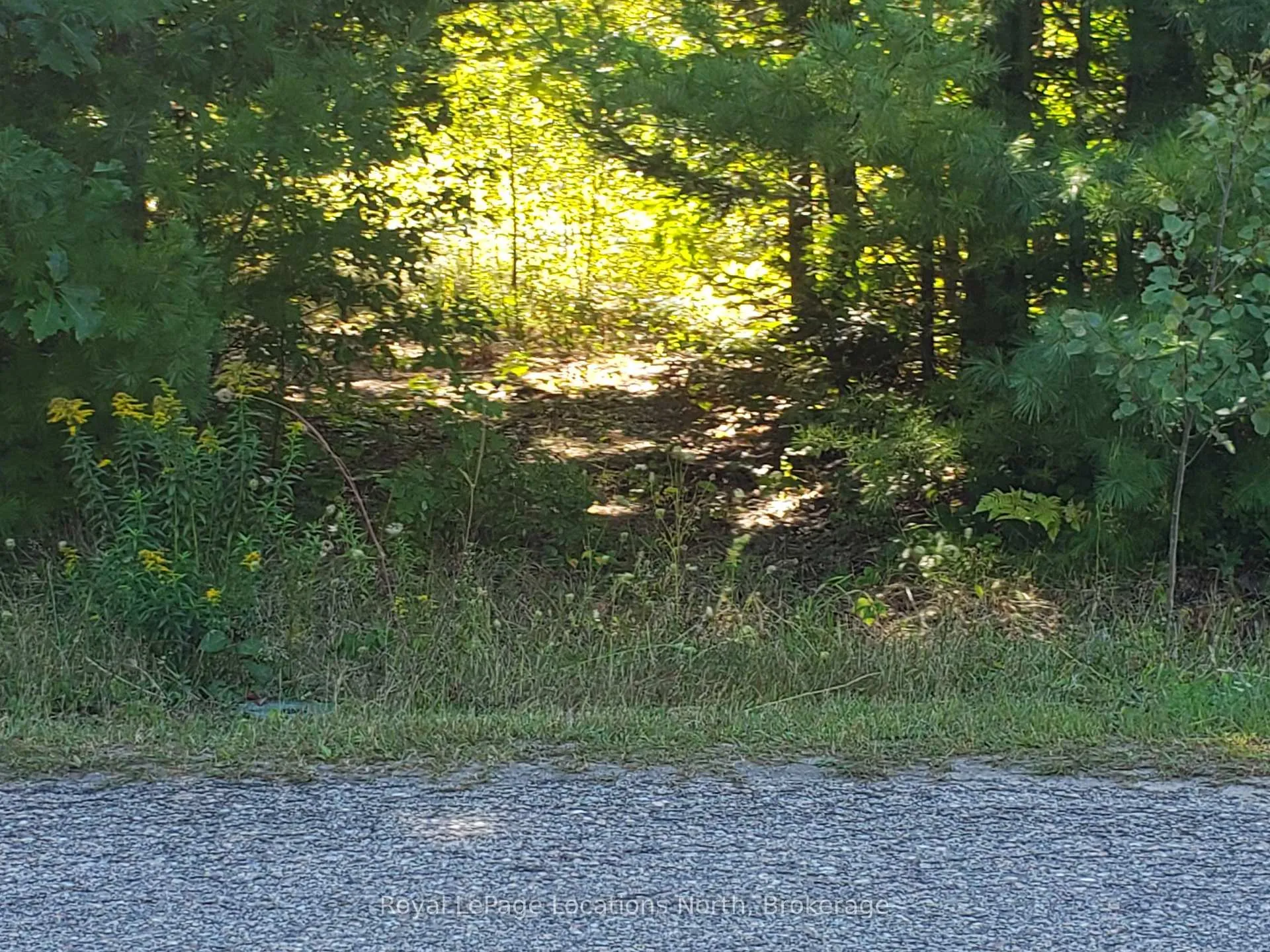 Photo 4 of 23 Stoney Road, Tiny, Rural Tiny — HOMEH