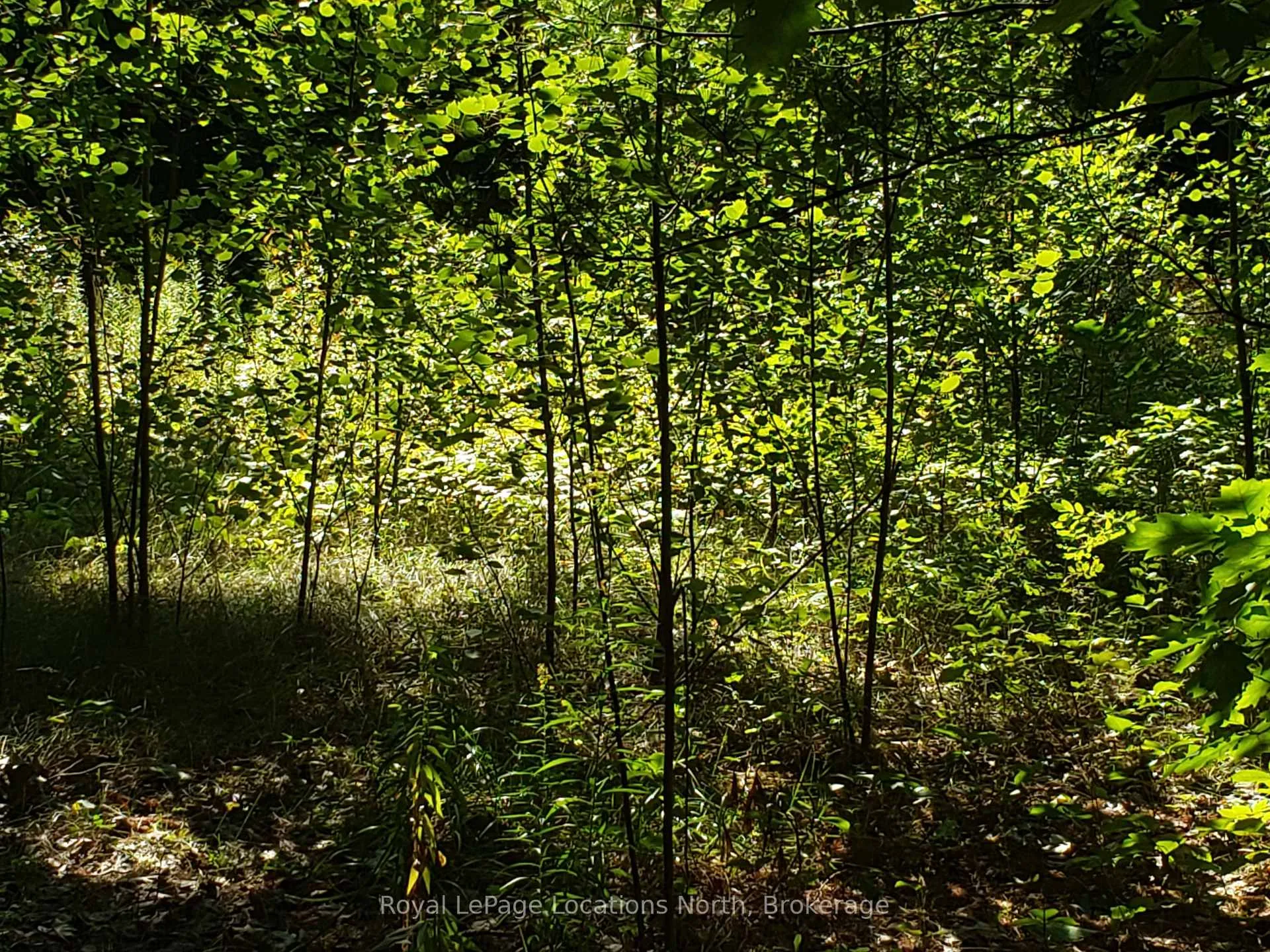 Photo 6 of 23 Stoney Road, Tiny, Rural Tiny — HOMEH