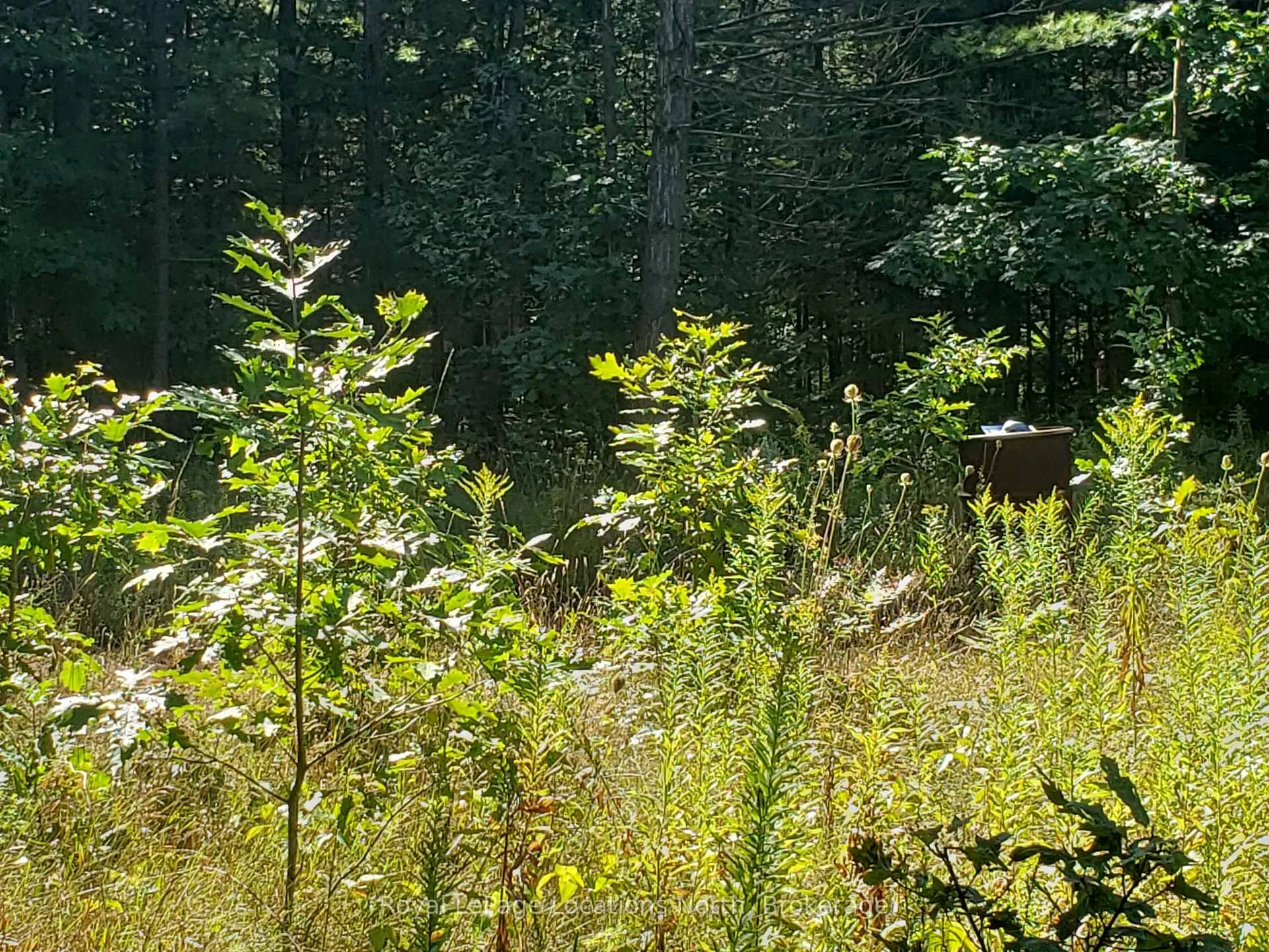 Photo 7 of 23 Stoney Road, Tiny, Rural Tiny — HOMEH