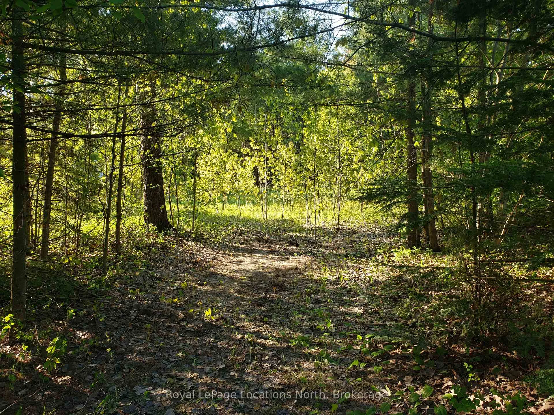 Photo 2 of 23 Stoney Road, Tiny, Rural Tiny — HOMEH