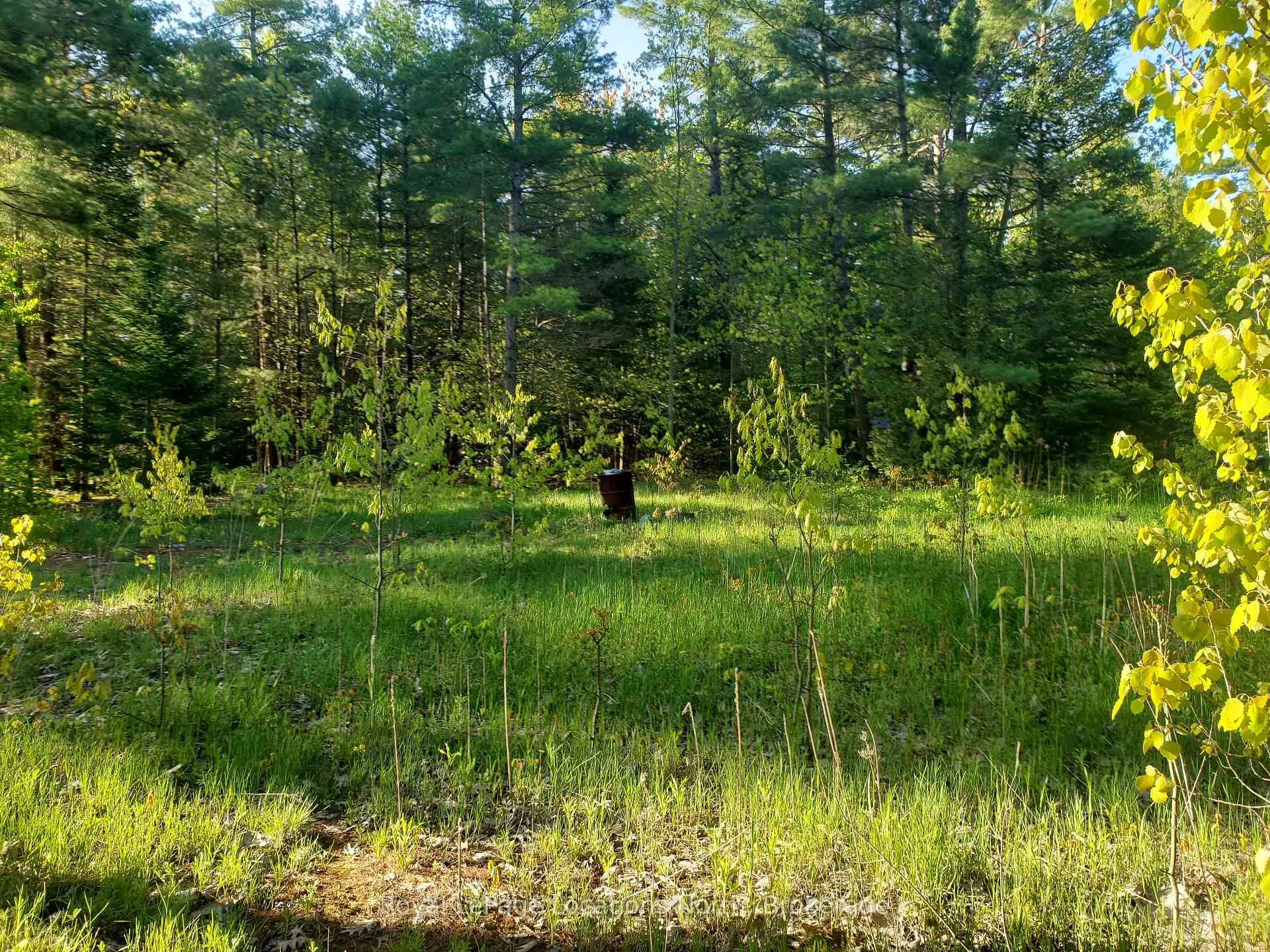 Photo 3 of 23 Stoney Road, Tiny, Rural Tiny — HOMEH