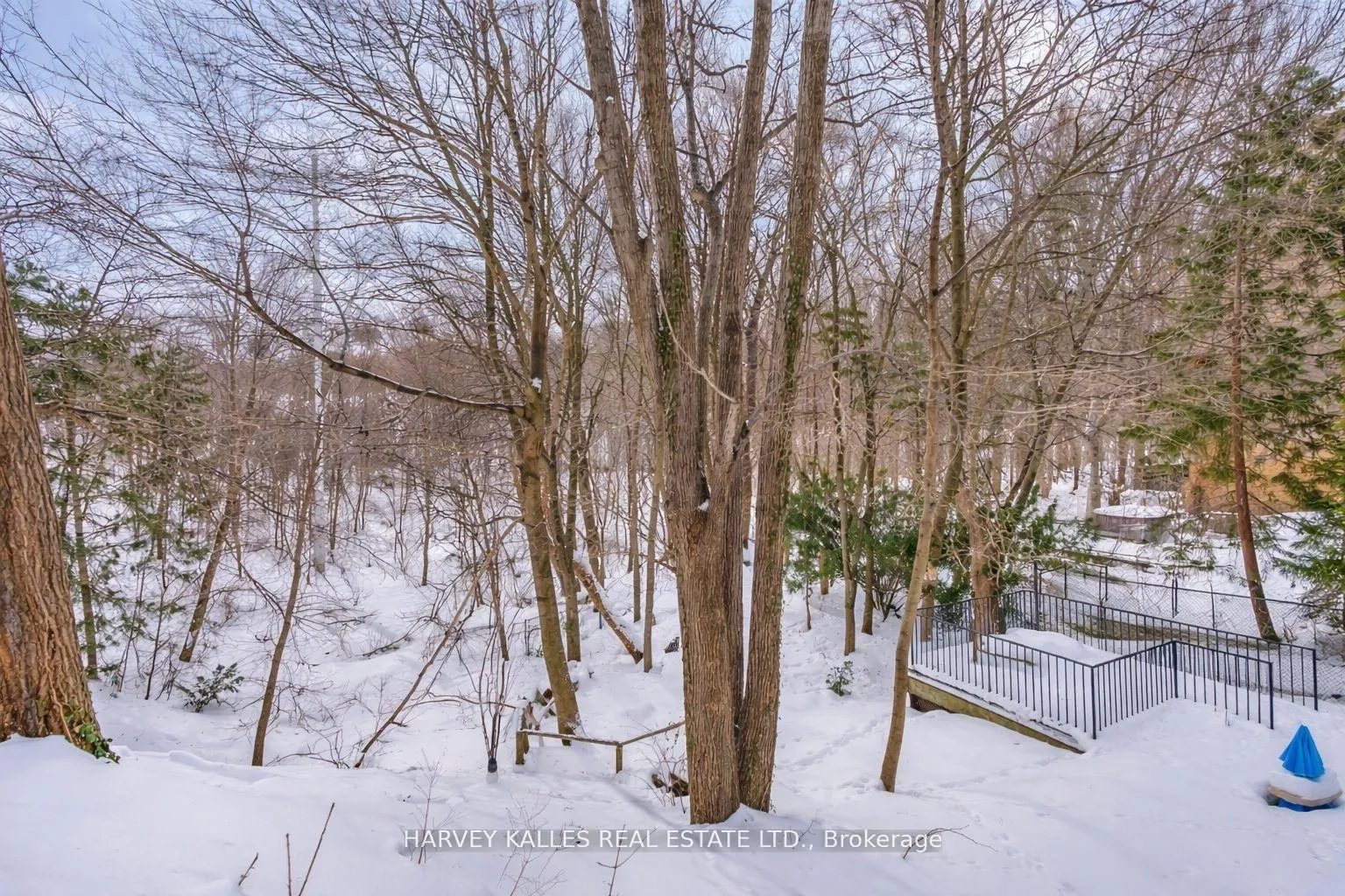 Photo 46 of 33 Glengowan Road, Toronto, Lawrence Park South — HOMEH