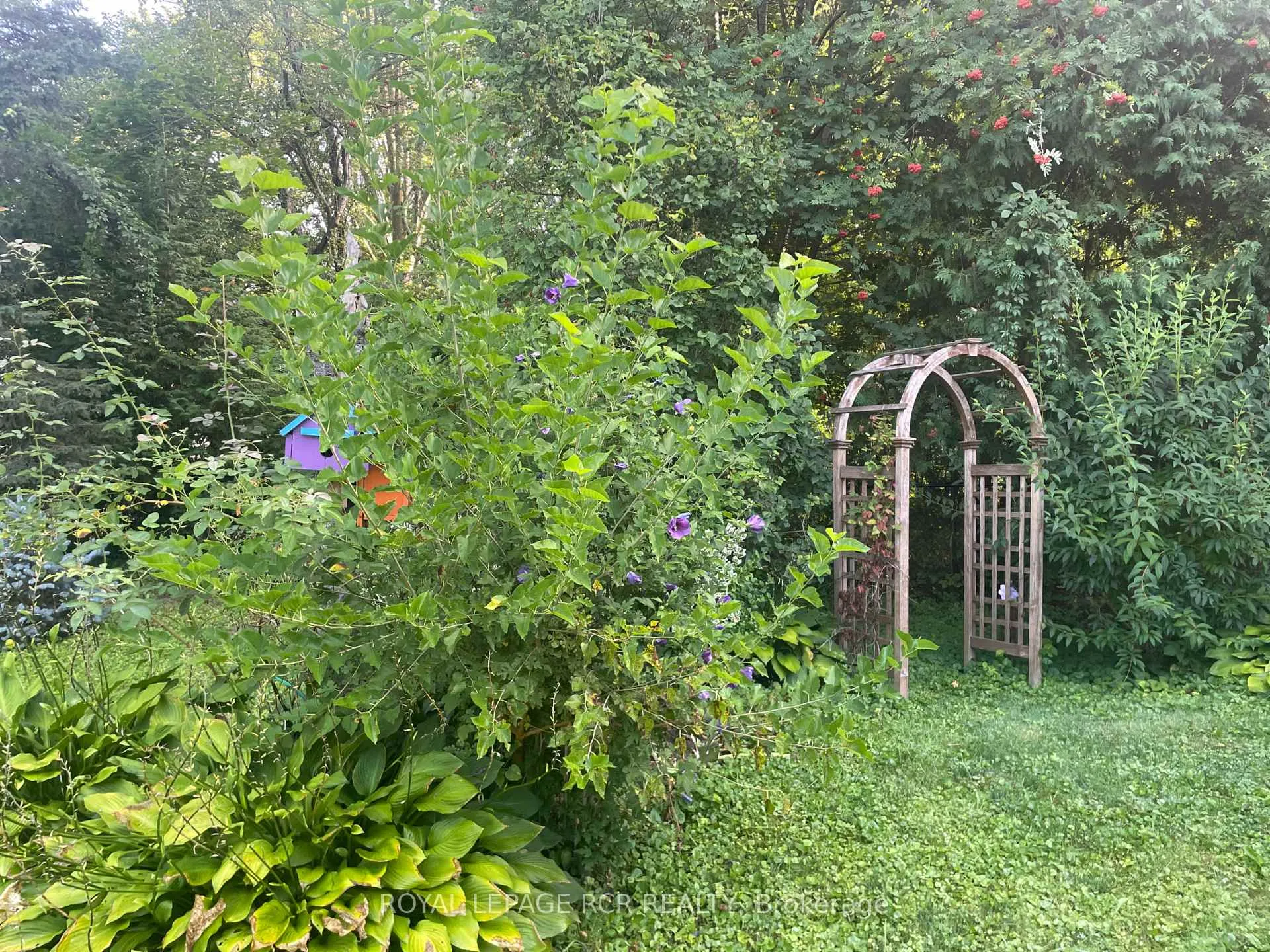 Photo 43 of 11 Hilltop Drive, Caledon, Caledon East — HOMEH