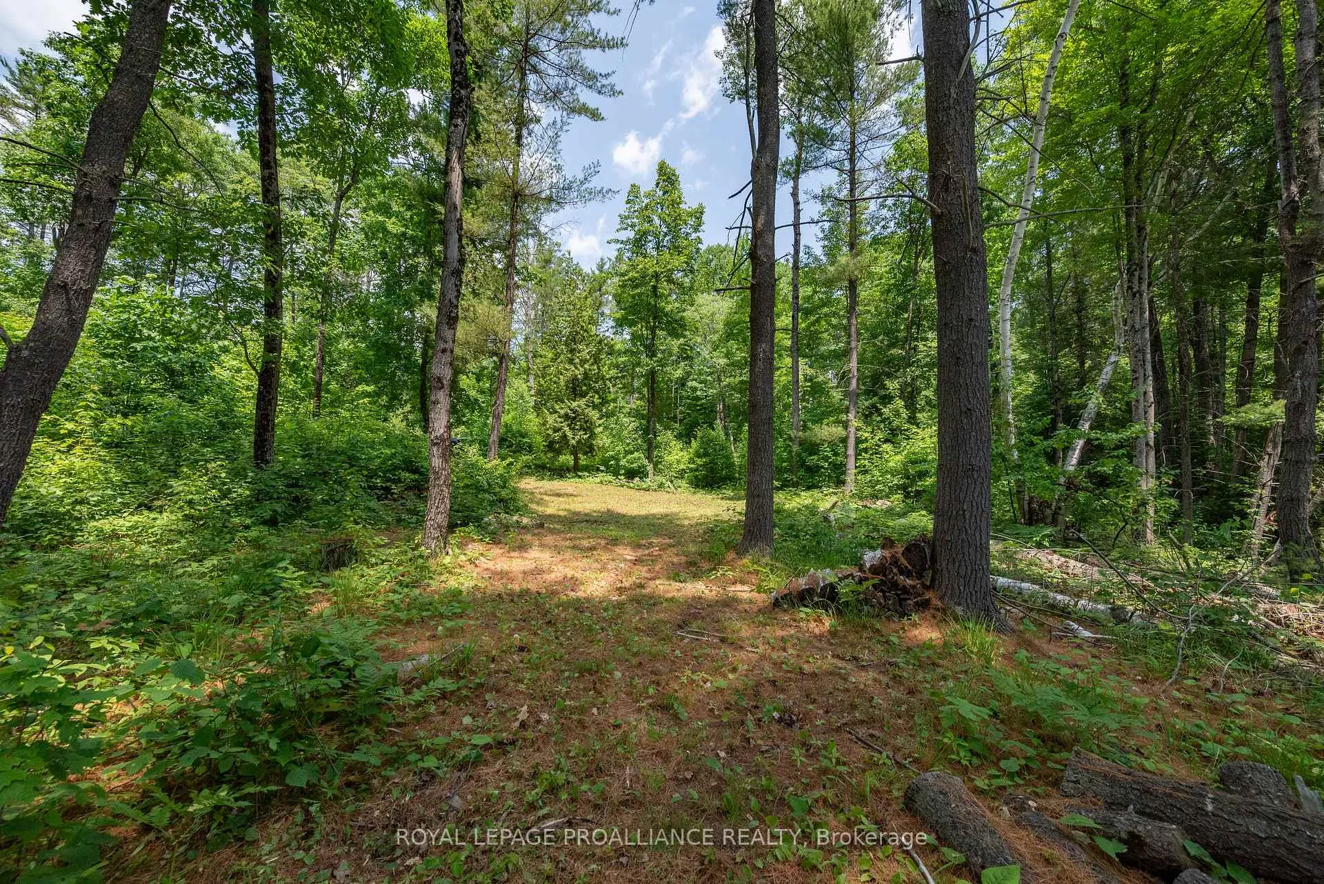 Photo 3 of 1180 Marshall Lane, North Frontenac, Frontenac North — HOMEH