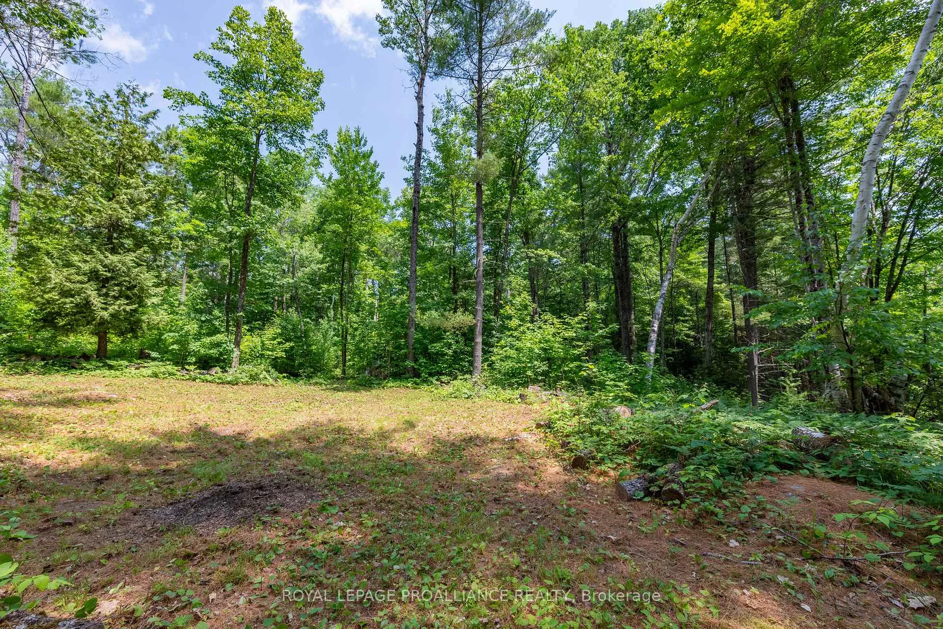 Photo 5 of 1180 Marshall Lane, North Frontenac, Frontenac North — HOMEH