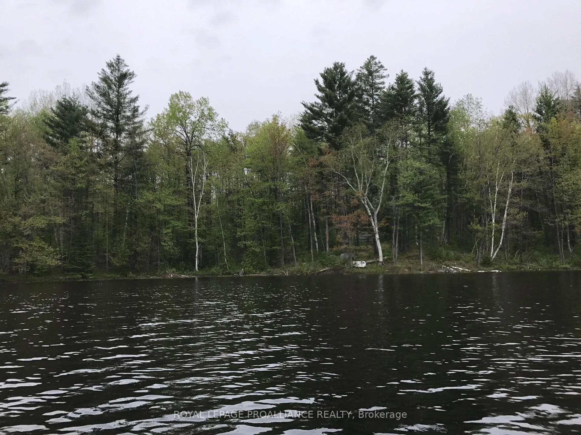 Photo 9 of 1180 Marshall Lane, North Frontenac, Frontenac North — HOMEH