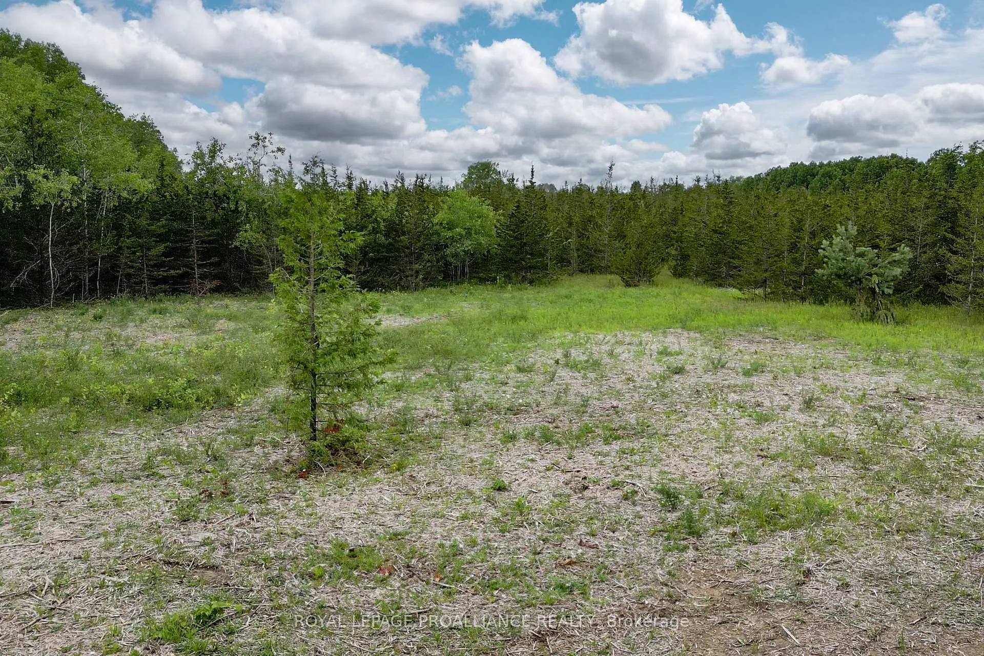 Photo 12 of 89 Power Road, Tyendinaga, Tyendinaga Township — HOMEH