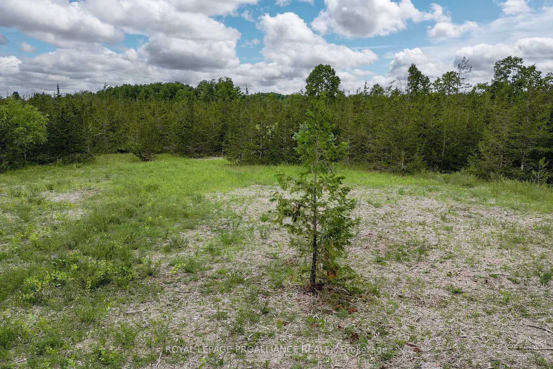 Photo 13 of 89 Power Road, Tyendinaga, Tyendinaga Township — HOMEH