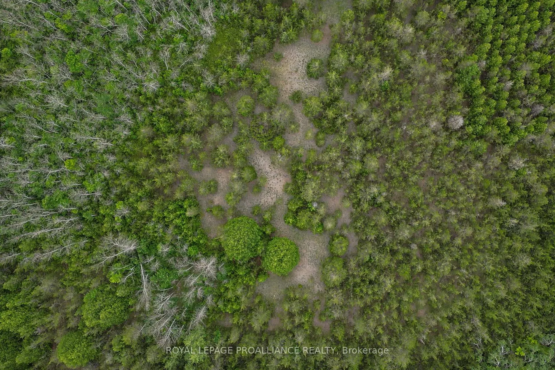 Photo 16 of 89 Power Road, Tyendinaga, Tyendinaga Township — HOMEH