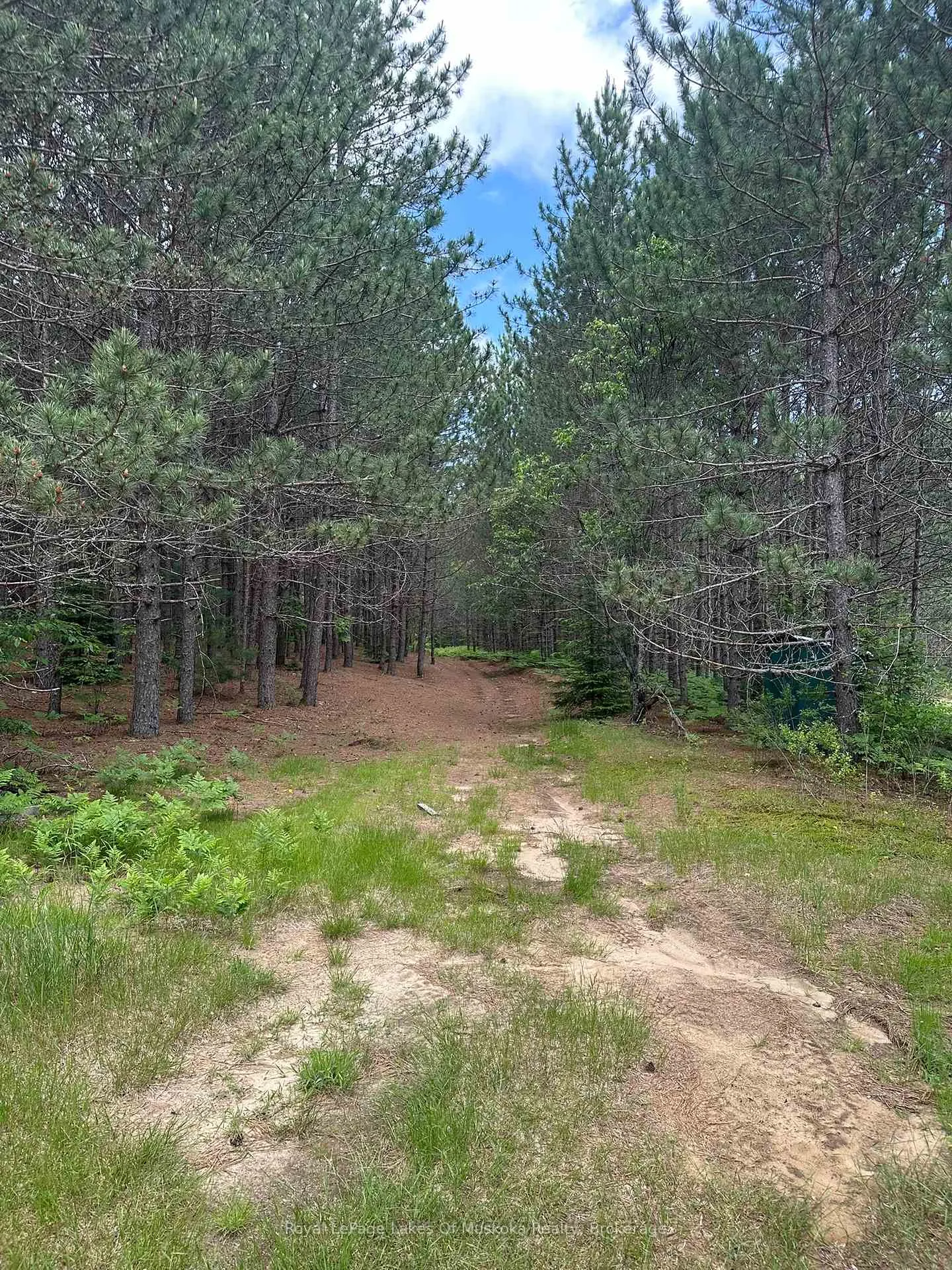 Photo 11 of 1958 518 Highway, McMurrich/Monteith, Sprucedale — HOMEH