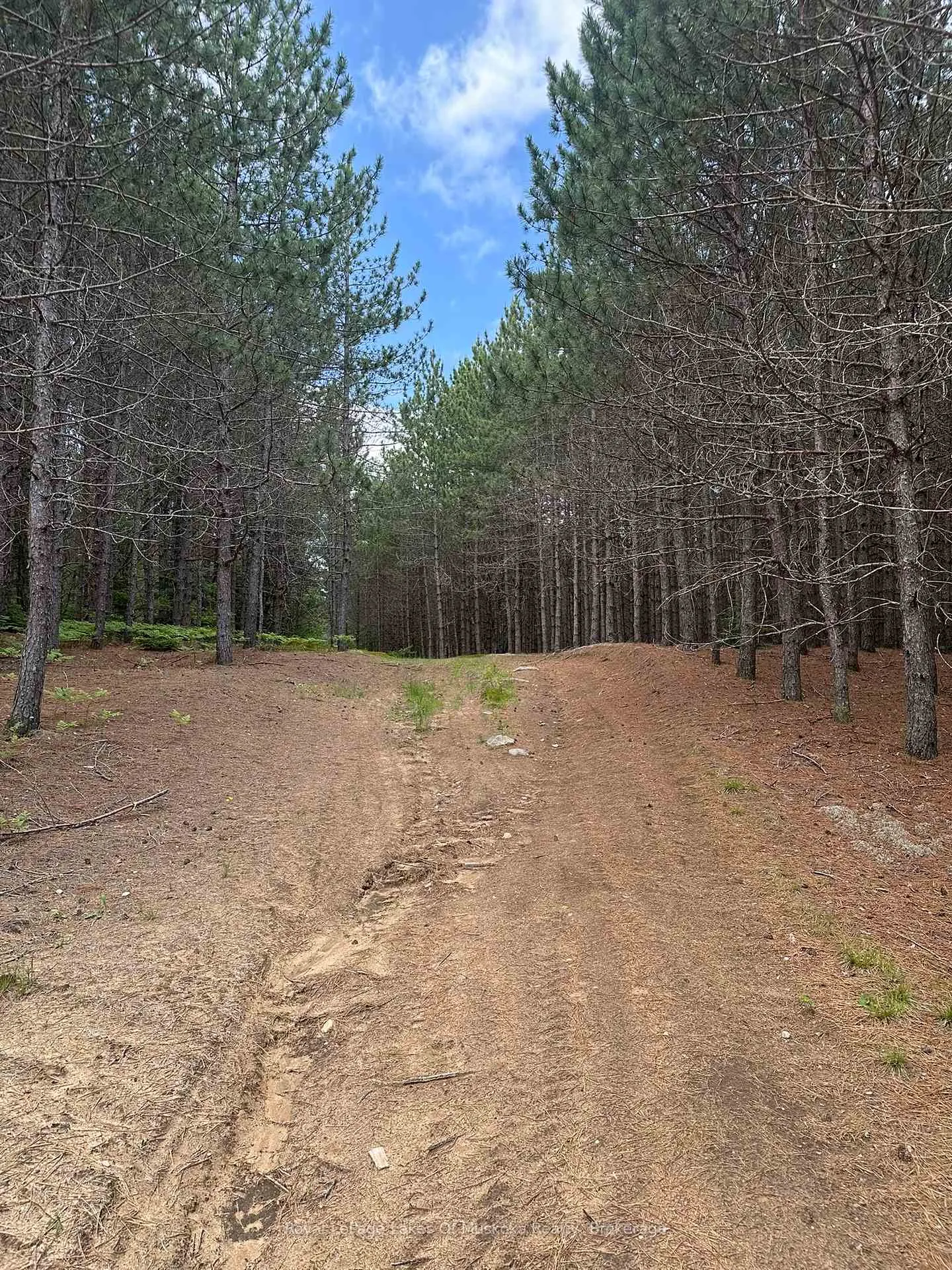 Photo 12 of 1958 518 Highway, McMurrich/Monteith, Sprucedale — HOMEH