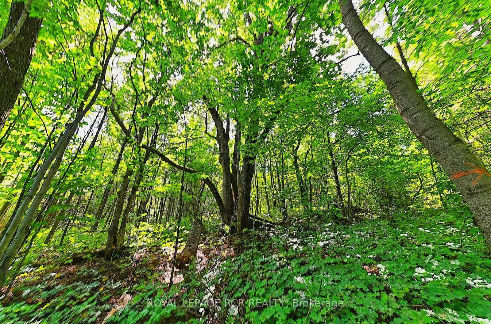Photo 38 of 1614 Nottawasaga Concession Rd 10, Clearview, Rural Clearview — HOMEH