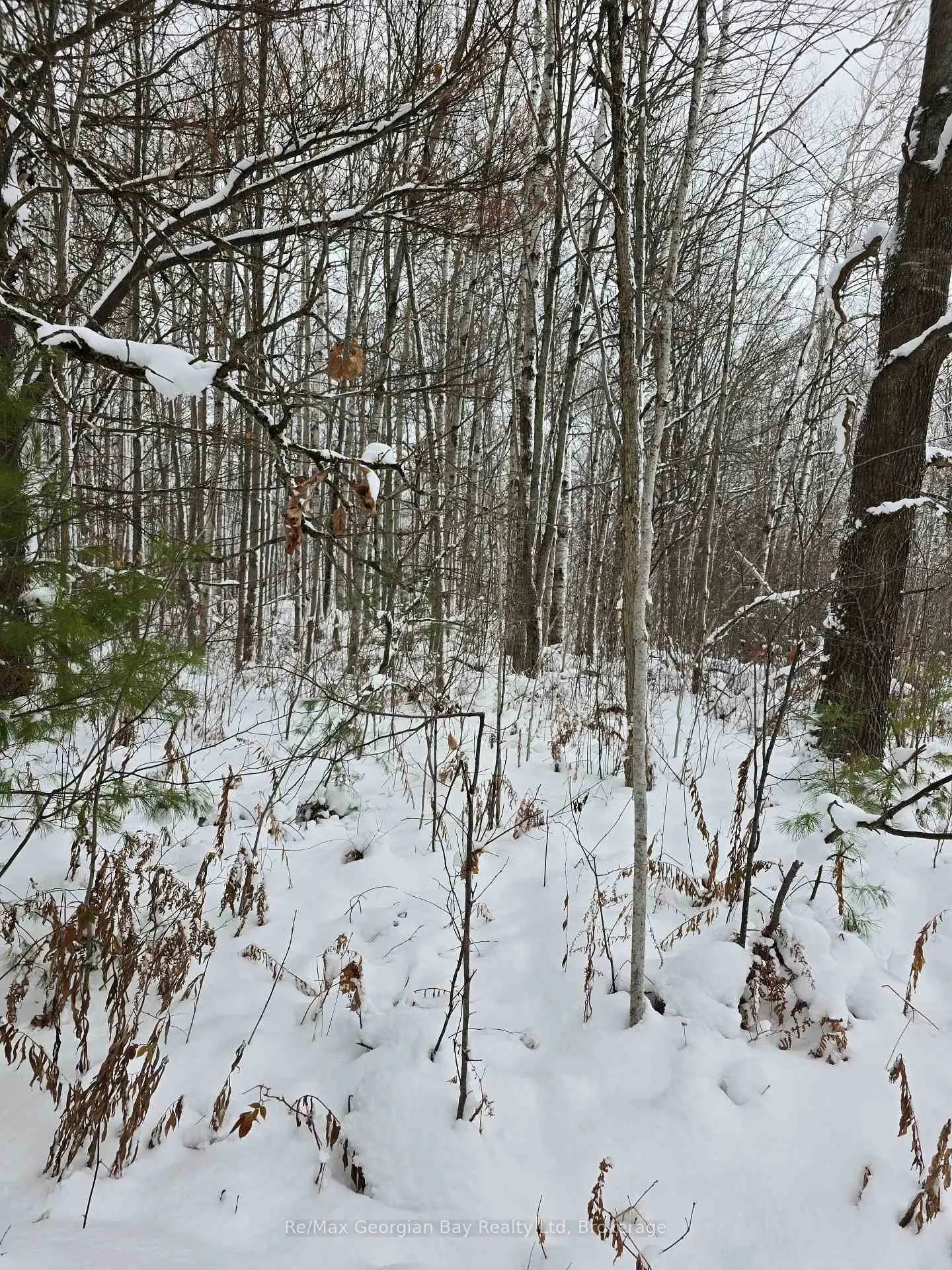 Photo 32 of 1666 Balkwill Line, Severn, Coldwater — HOMEH