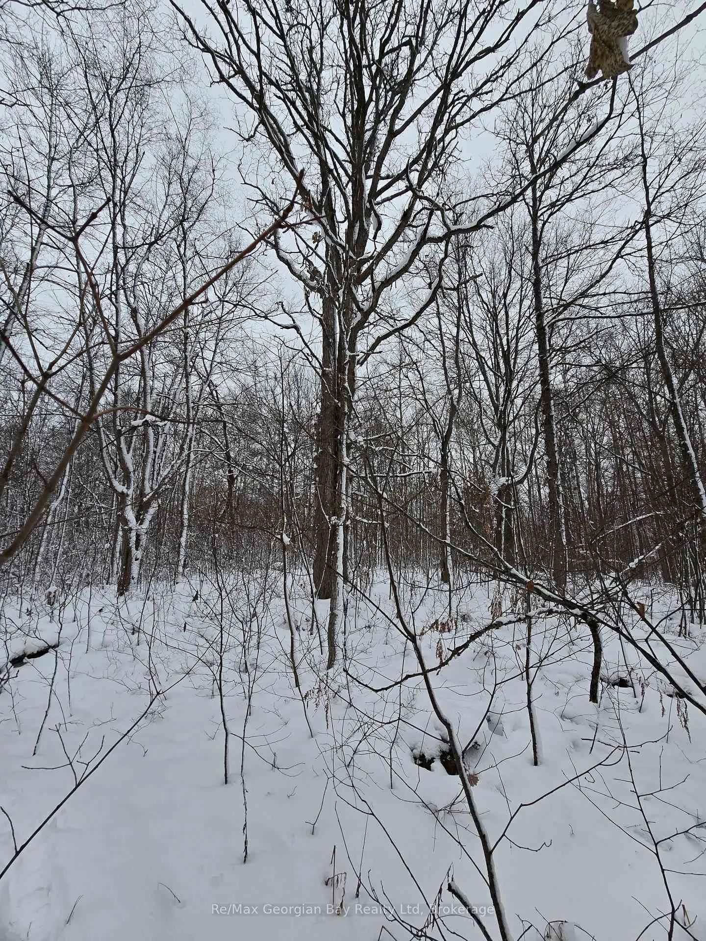 Photo 33 of 1666 Balkwill Line, Severn, Coldwater — HOMEH