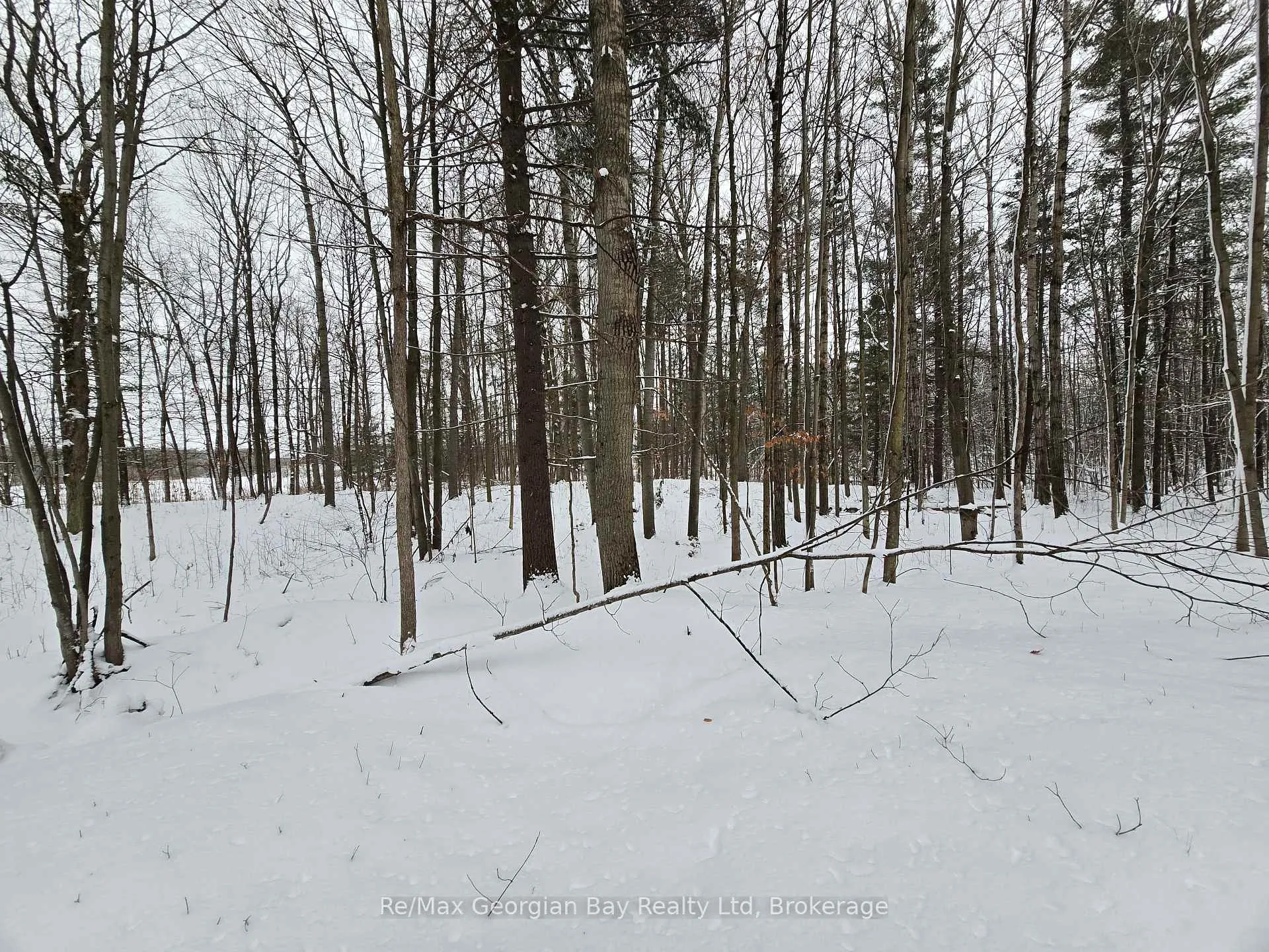 Photo 36 of 1666 Balkwill Line, Severn, Coldwater — HOMEH