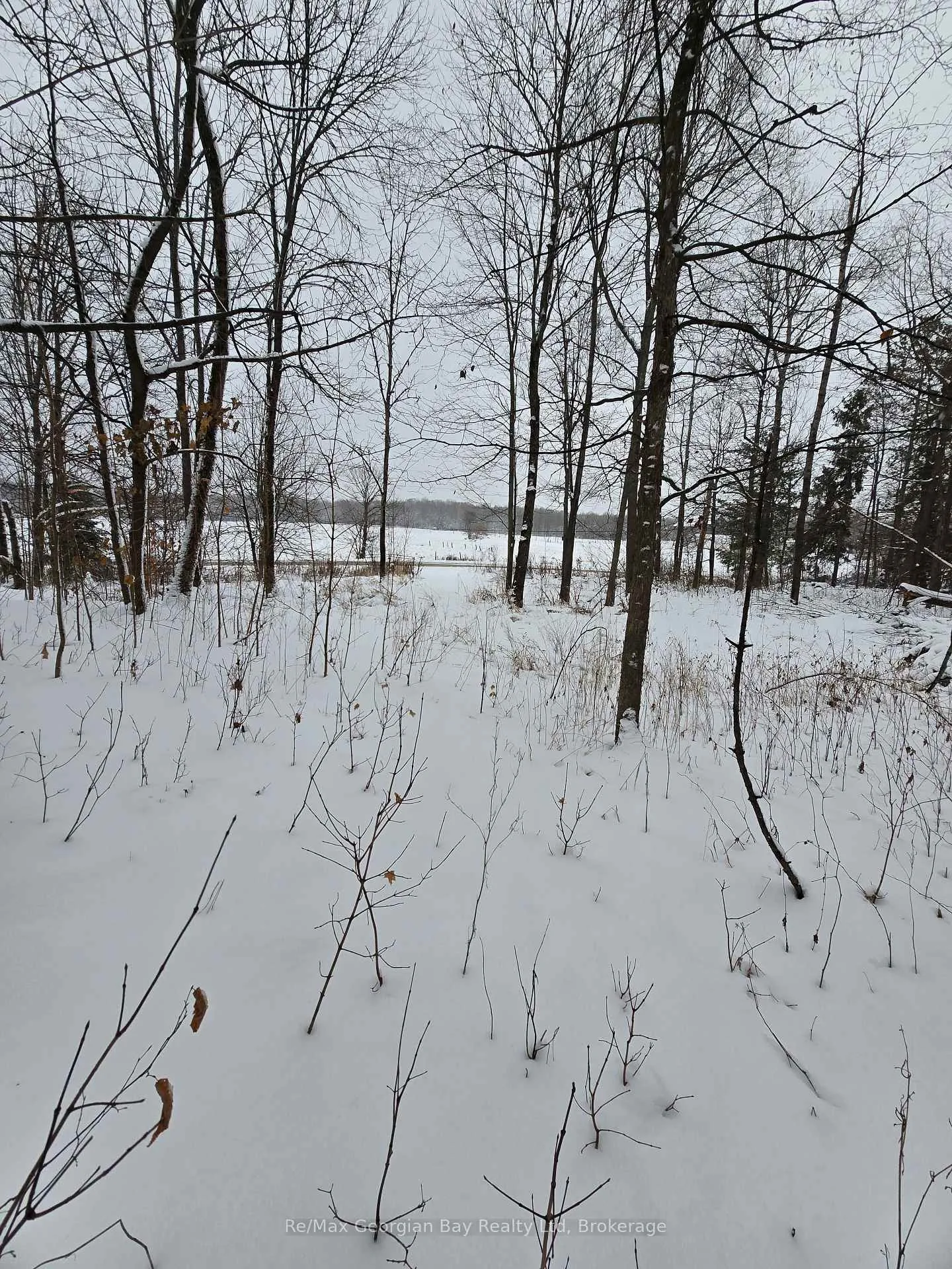Photo 38 of 1666 Balkwill Line, Severn, Coldwater — HOMEH