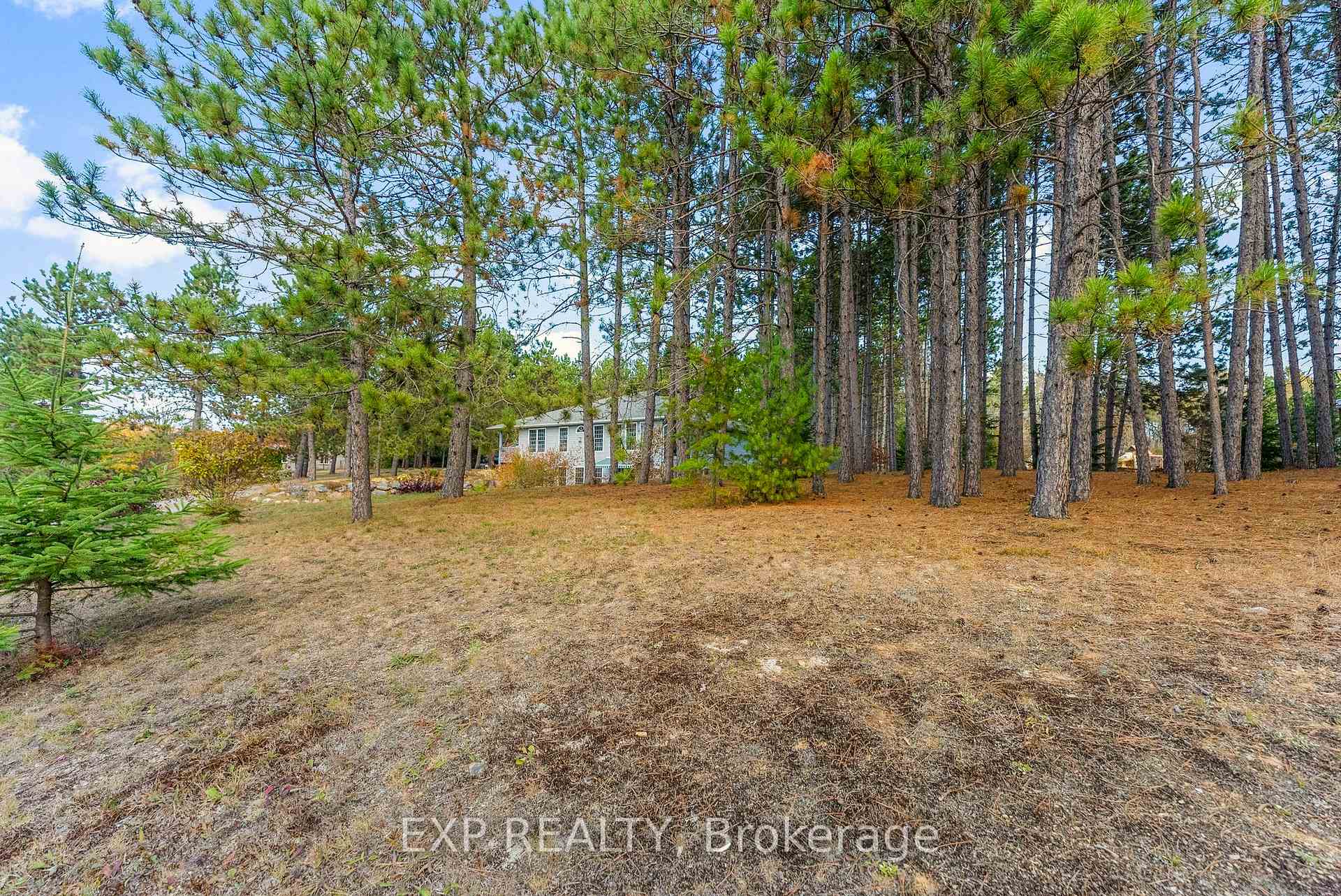 Photo 40 of 10 Cybulski Road, Madawaska Valley, Madawaska Valley — HOMEH