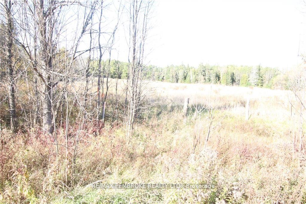 Photo 7 of 000 Thomson Road, Horton, Horton Twp — HOMEH