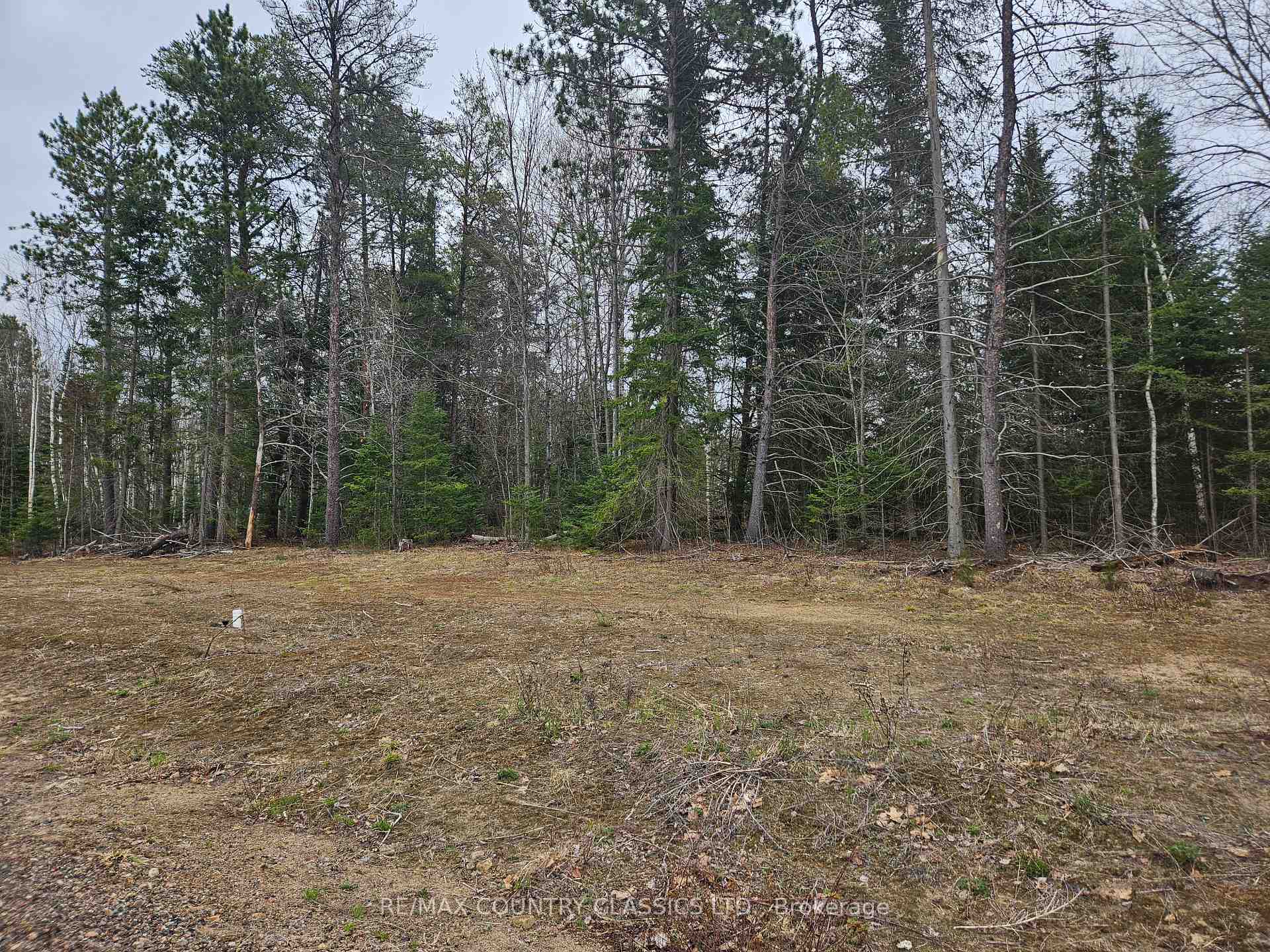 Photo 5 of 23 Birchview Drive, Madawaska Valley, Madawaska Valley — HOMEH