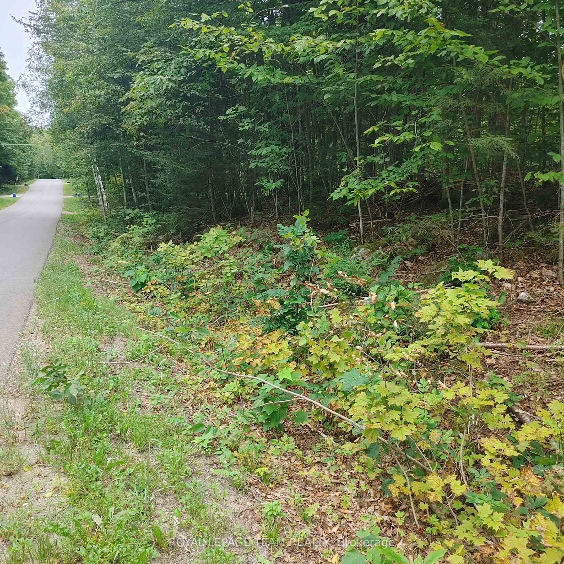 Photo 1 of 49 Lorlei Drive, McNab/Braeside, Mcnab/Braeside Twps — HOMEH