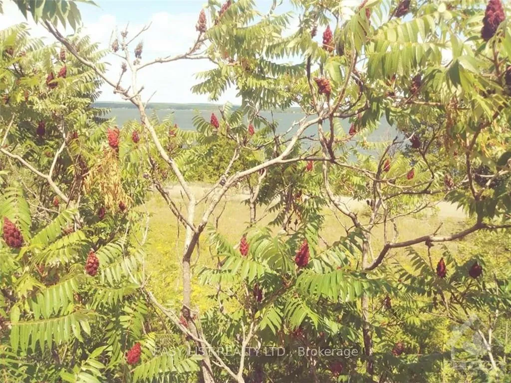Photo 7 of 00 River Road, McNab/Braeside, Mcnab/Braeside Twps — HOMEH