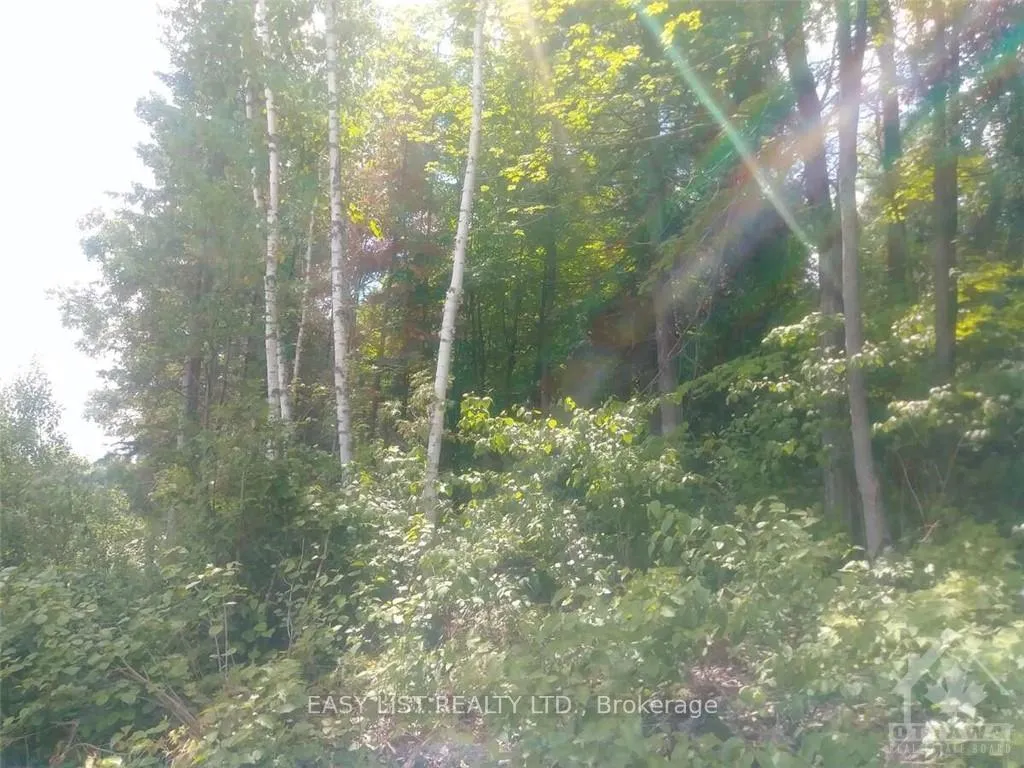 Photo 11 of 00 River Road, McNab/Braeside, Mcnab/Braeside Twps — HOMEH