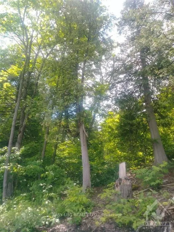 Photo 12 of 00 River Road, McNab/Braeside, Mcnab/Braeside Twps — HOMEH