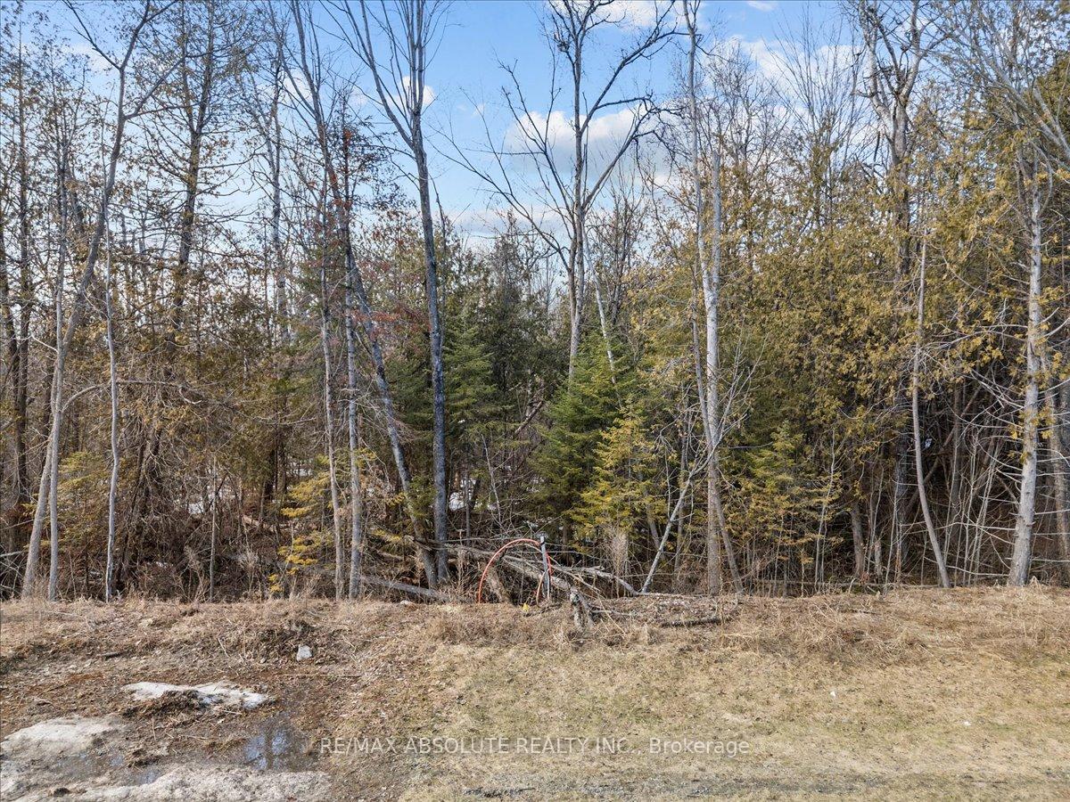 Photo 11 of 5840 Lancer Avenue, Ottawa, Manotick East to Manotick Station — HOMEH