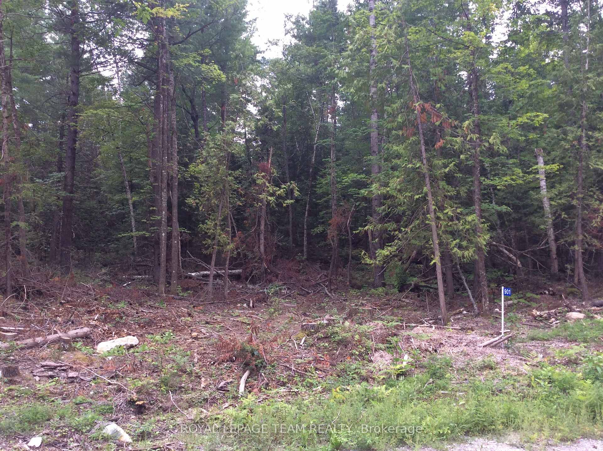 Photo 3 of 901 Darling Road, Lanark Highlands, Lanark Highlands (Lanark) Twp — HOMEH