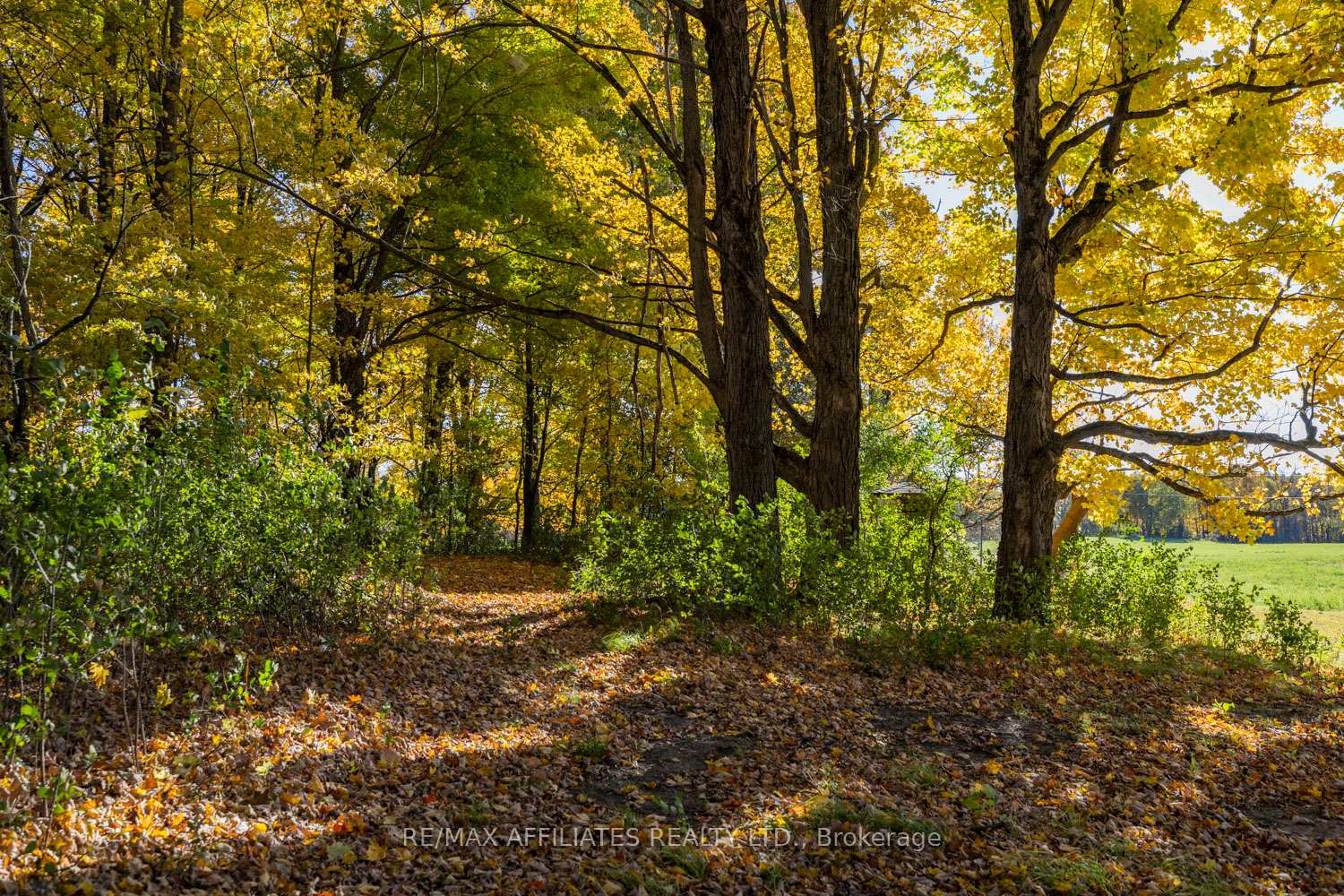 Photo 43 of 267 Roberts Road, Lanark Highlands, Lanark Highlands (Lanark Village) — HOMEH