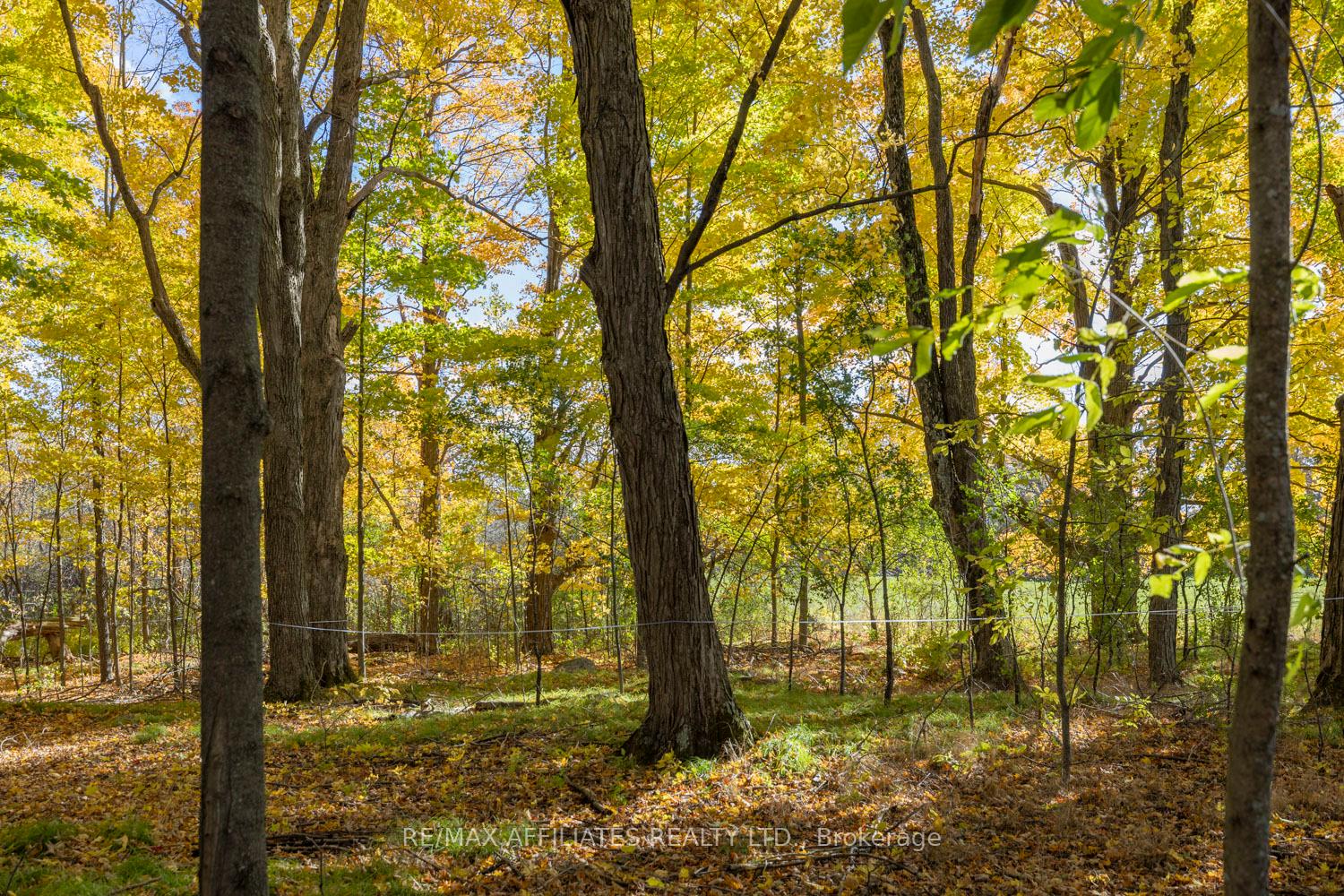 Photo 44 of 267 Roberts Road, Lanark Highlands, Lanark Highlands (Lanark Village) — HOMEH