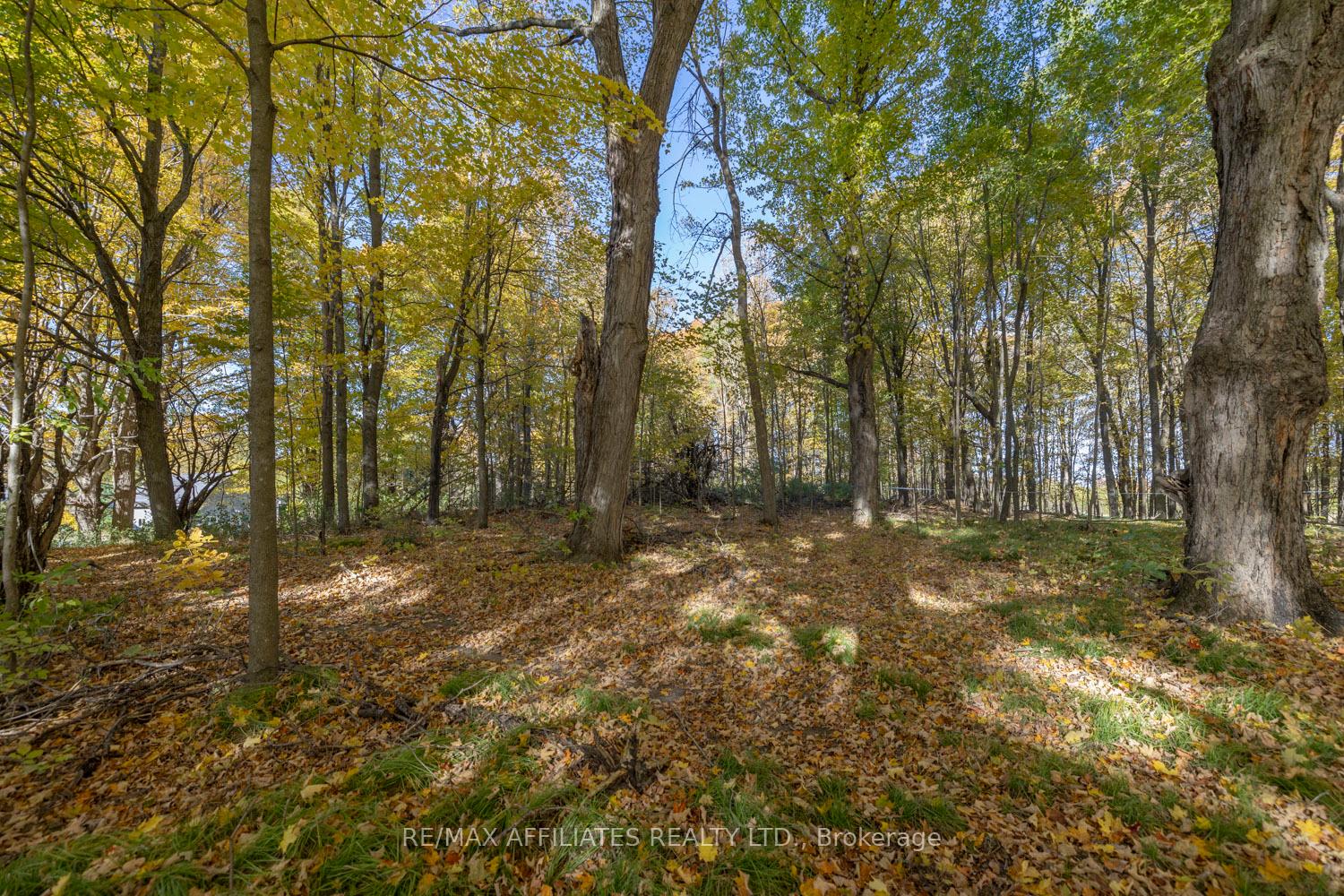 Photo 45 of 267 Roberts Road, Lanark Highlands, Lanark Highlands (Lanark Village) — HOMEH