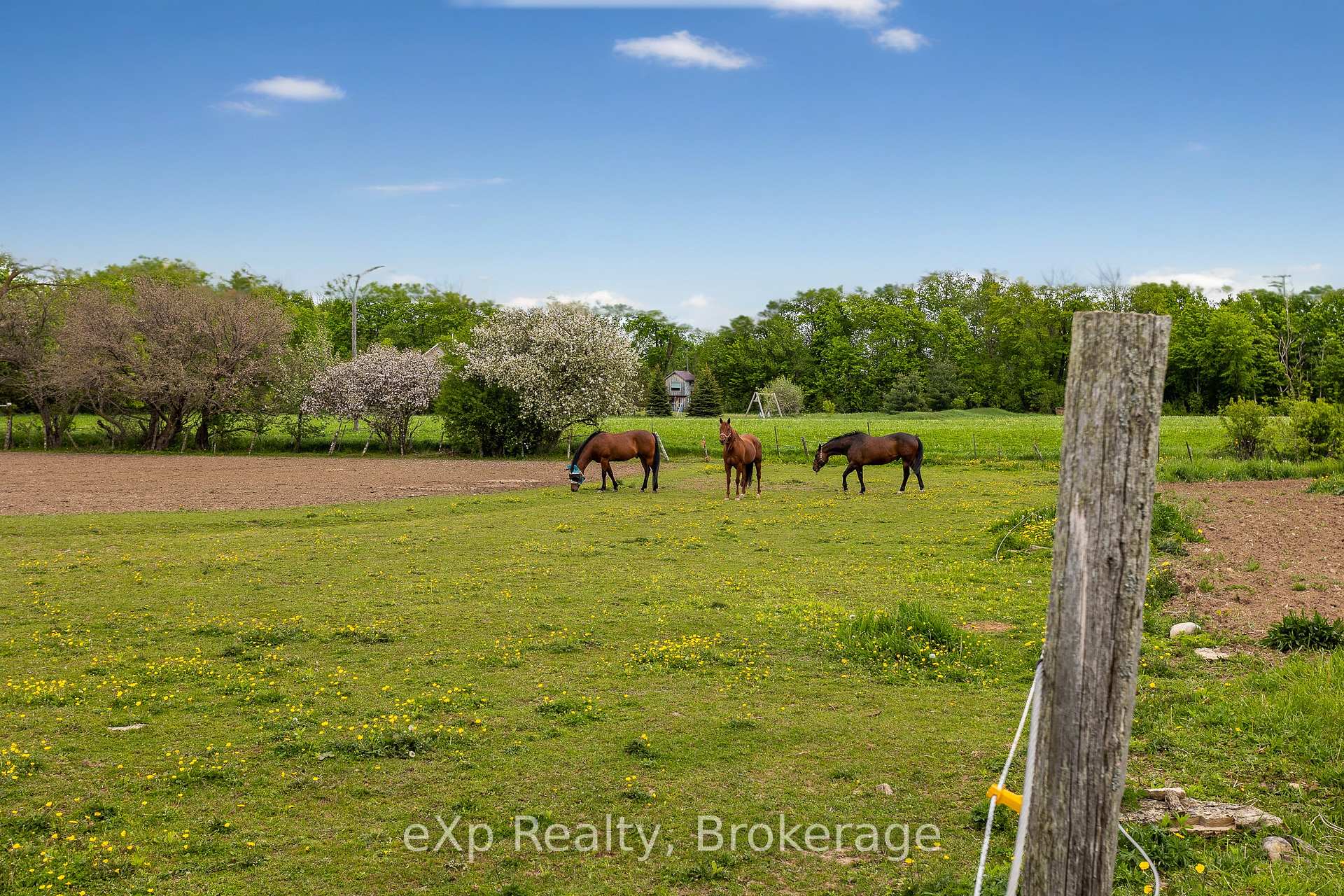 Photo 28 of 46304 Old Mail Road, Meaford — HOMEH