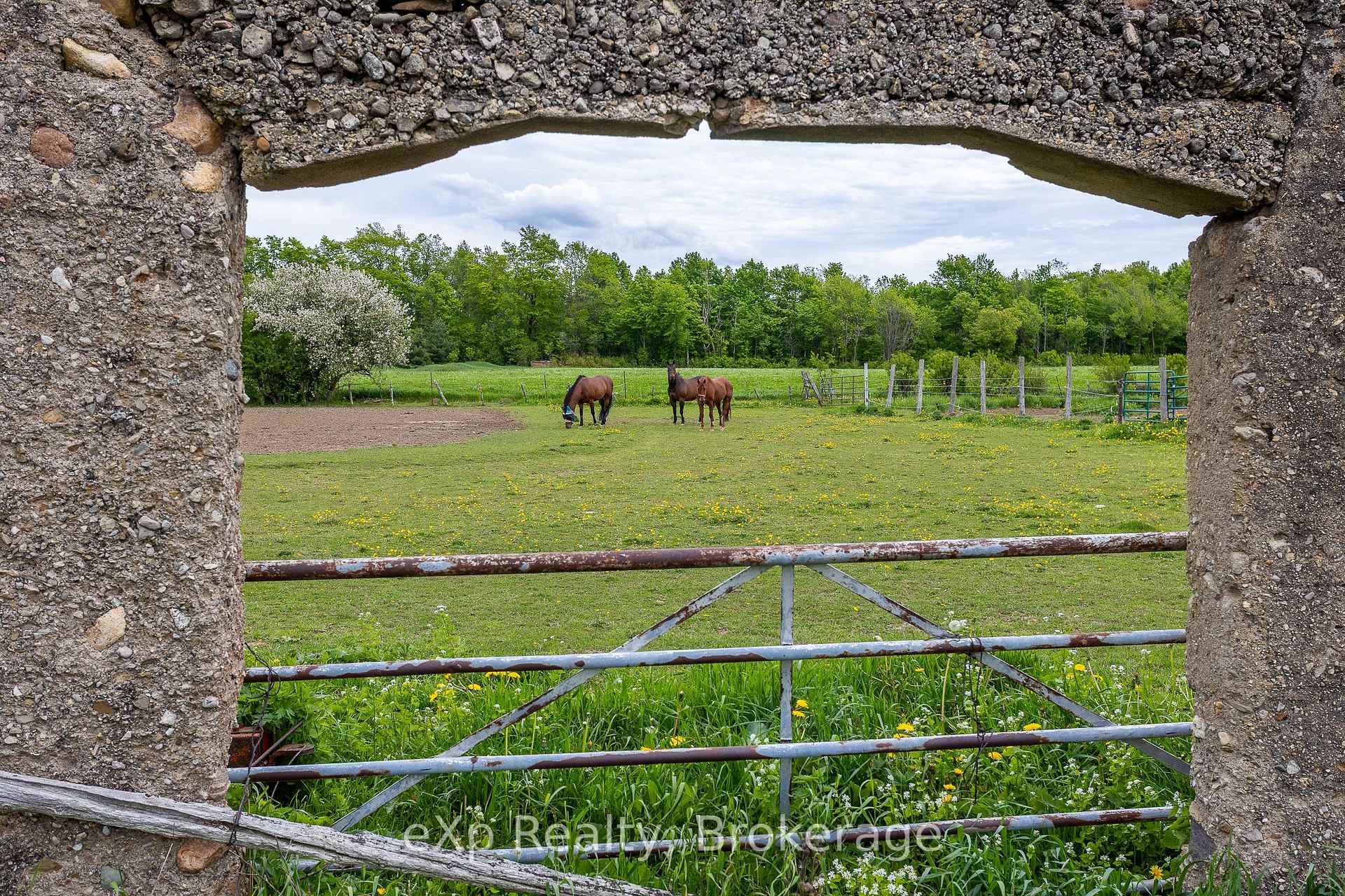 Photo 37 of 46304 Old Mail Road, Meaford — HOMEH