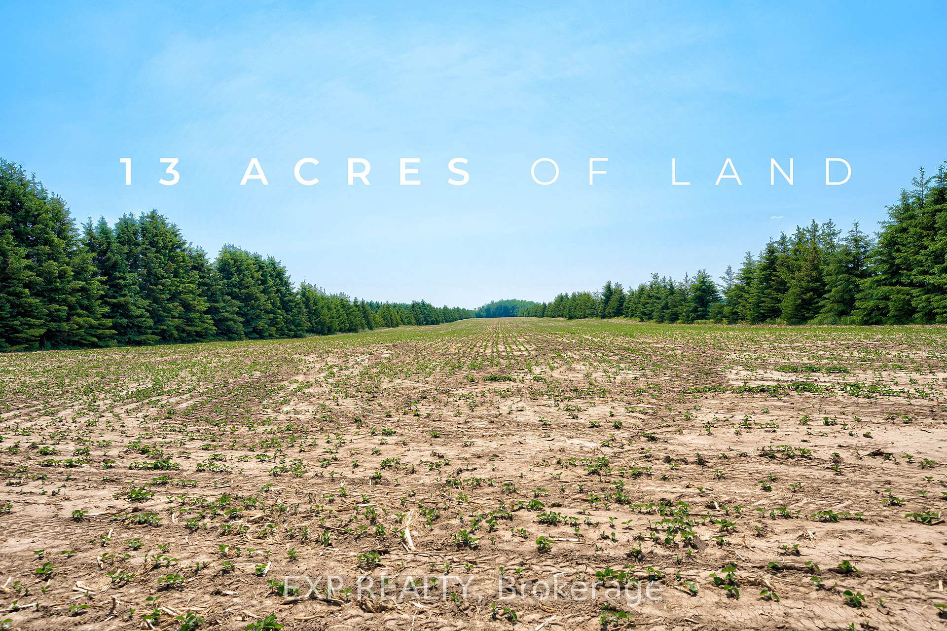Photo 6 of 7178 HIghway 6, Mapleton, Rural Mapleton — HOMEH
