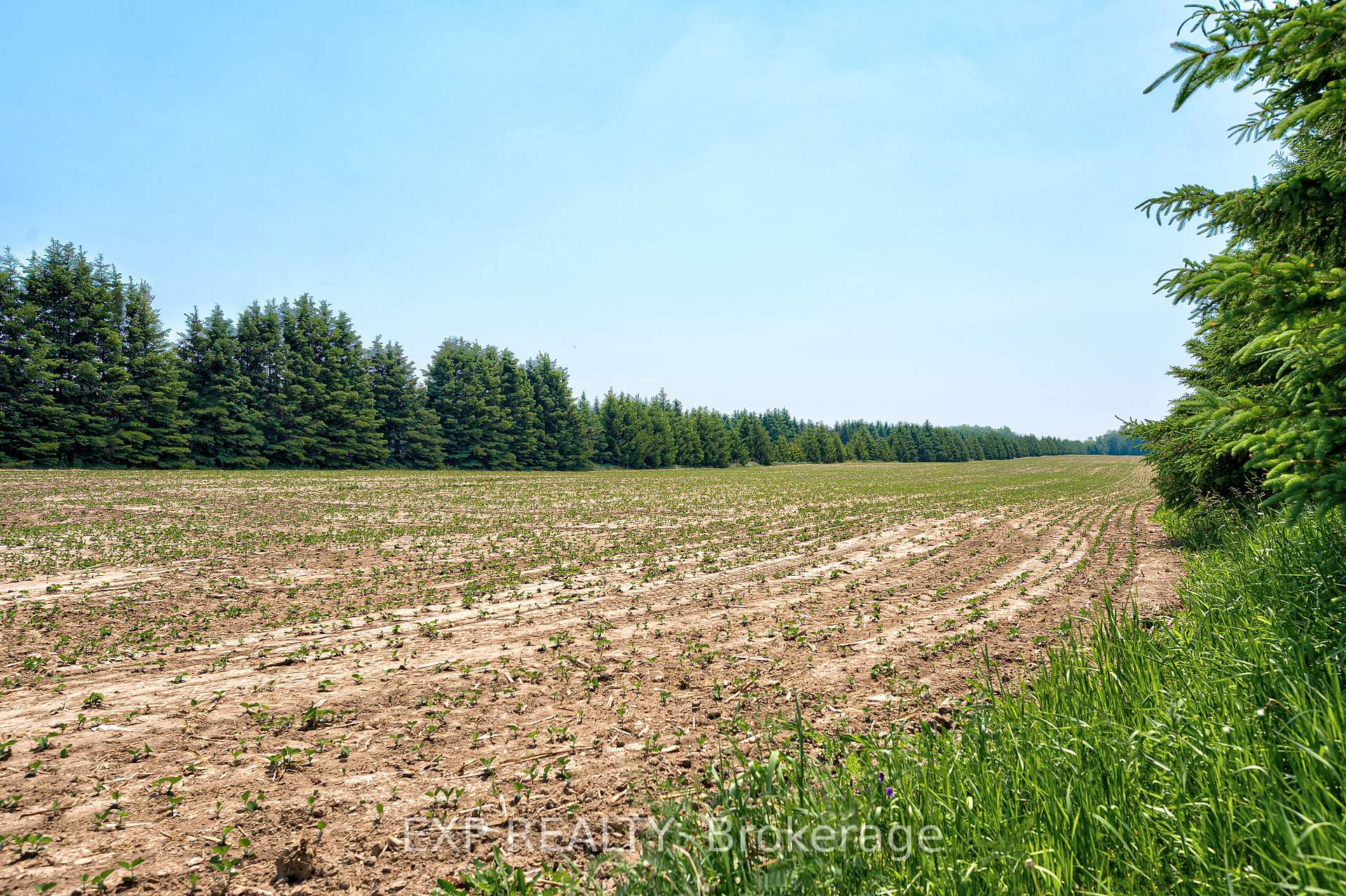 Photo 9 of 7178 HIghway 6, Mapleton, Rural Mapleton — HOMEH