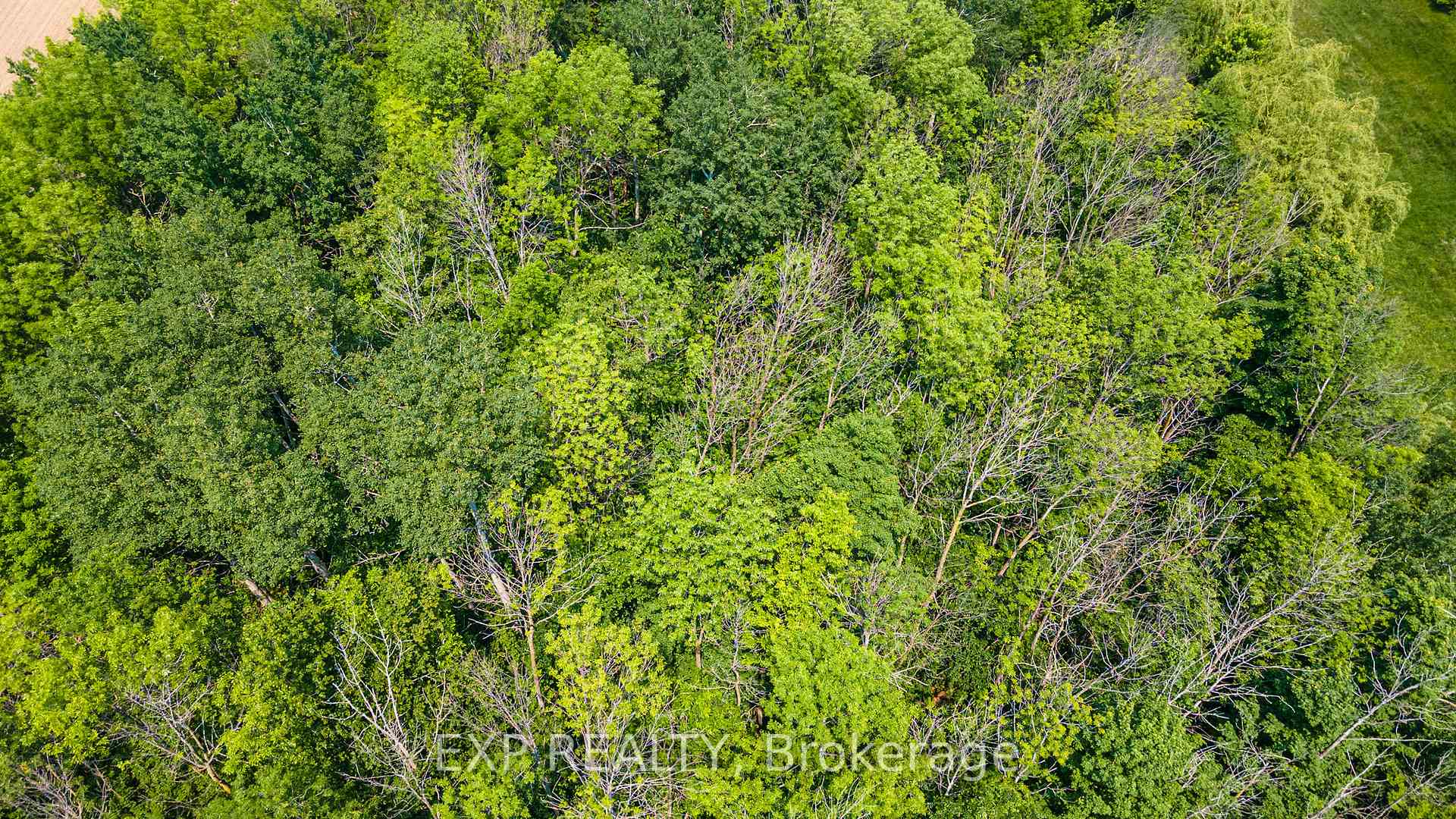 Photo 16 of 7178 HIghway 6, Mapleton, Rural Mapleton — HOMEH
