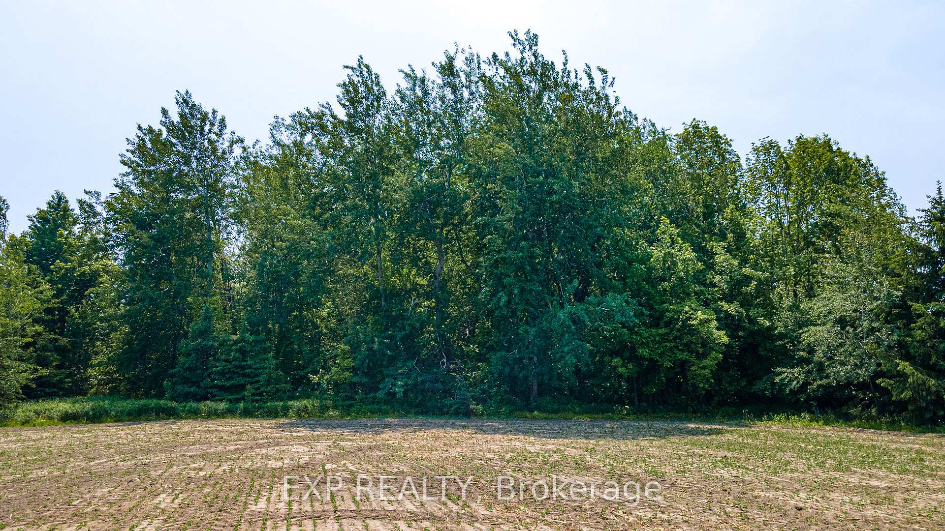 Photo 20 of 7178 HIghway 6, Mapleton, Rural Mapleton — HOMEH